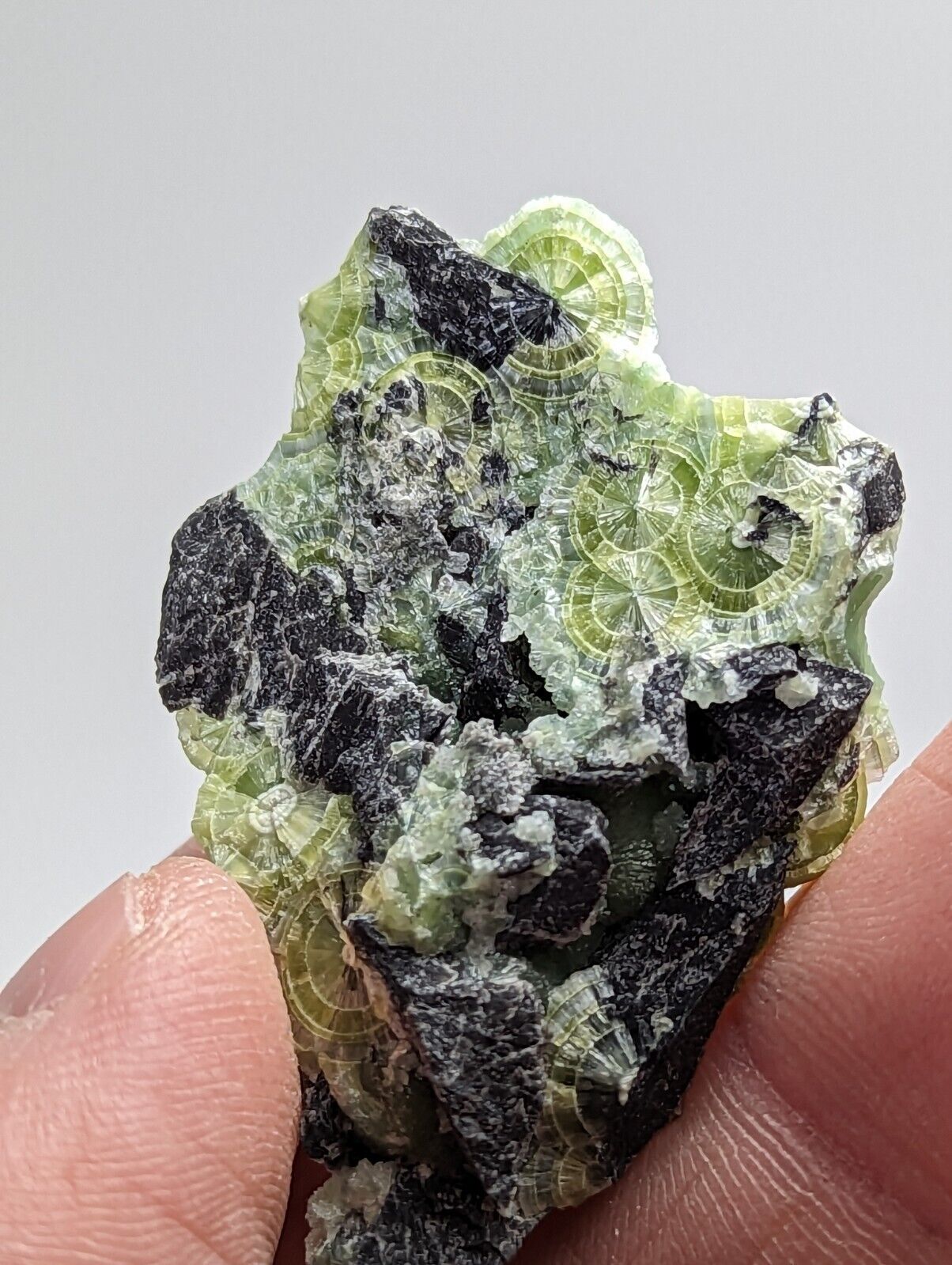 Amazing Wavellite - Fantastic 1990s Old Stock - Mauldin Mountain Arkansas - Collectibles:Rocks Fossils &