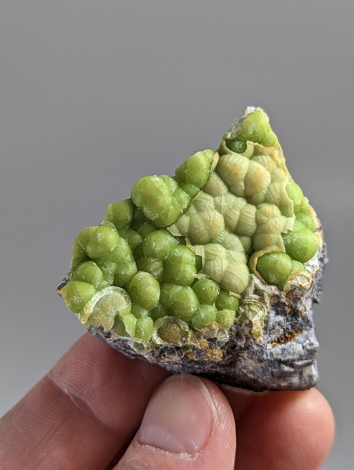 Amazing Wavellite - Fantastic 1990s Old Stock - Mauldin Mountain Arkansas - Collectibles:Rocks Fossils &