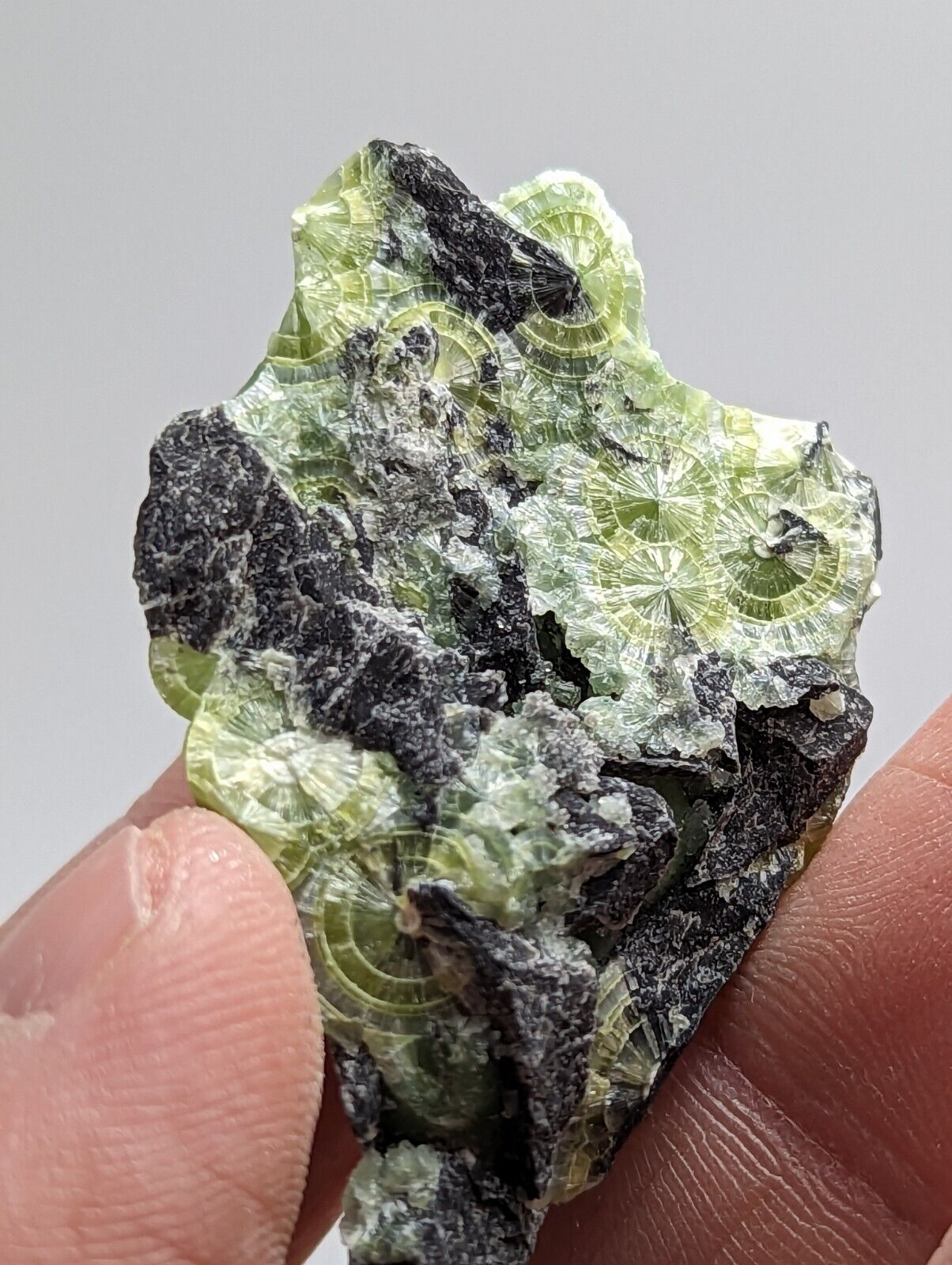 Amazing Wavellite - Fantastic 1990s Old Stock - Mauldin Mountain Arkansas - Collectibles:Rocks Fossils &