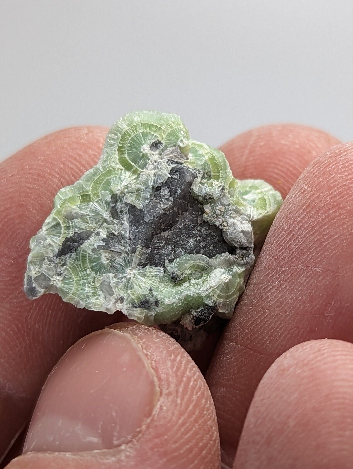 Amazing Wavellite - Fantastic 1990s Old Stock - Mauldin Mountain Arkansas - Collectibles:Rocks Fossils &