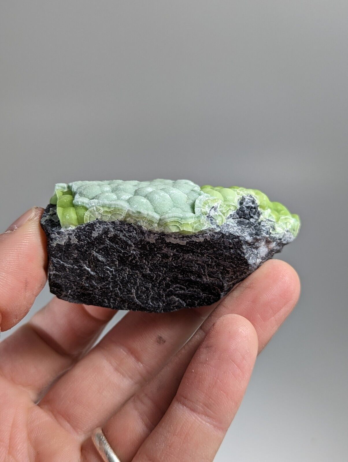 Amazing Wavellite - Fantastic 1990s Old Stock - Mauldin Mountain Arkansas - Collectibles:Rocks Fossils &