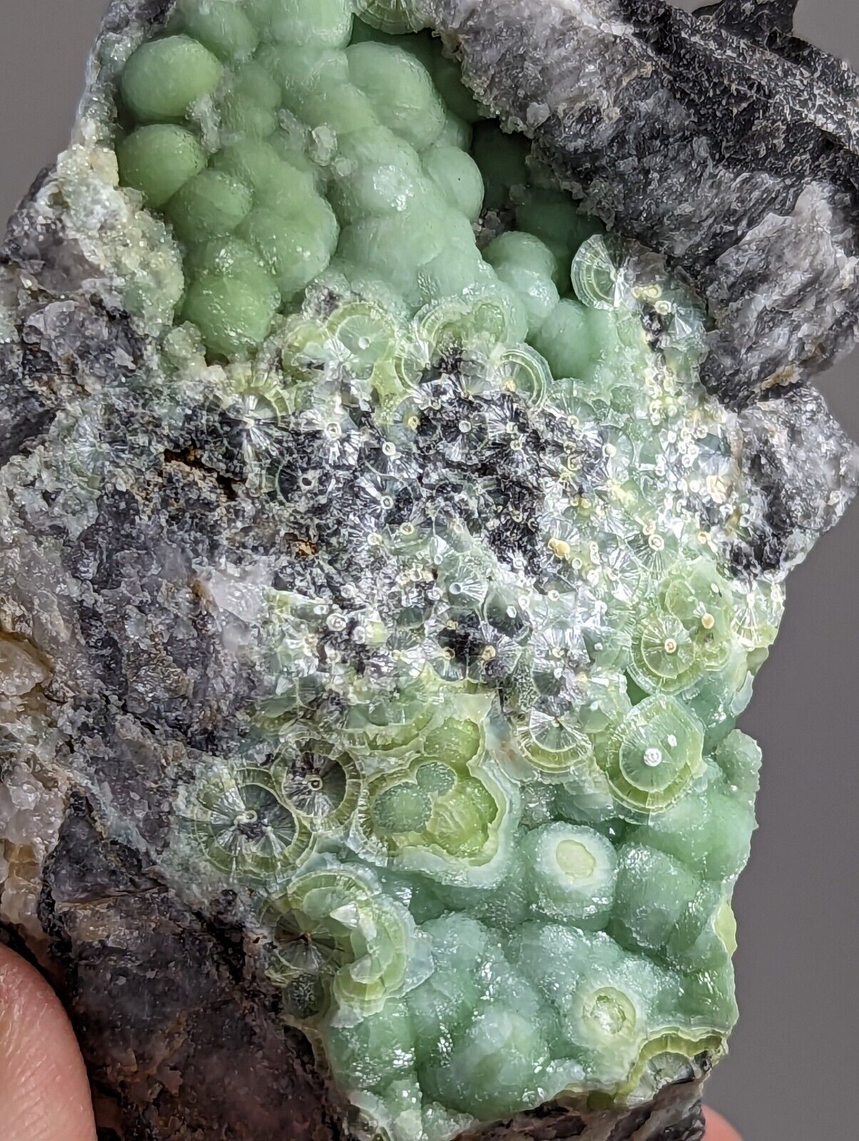 Amazing Wavellite - Fantastic 1990s Old Stock - Mauldin Mountain Arkansas - Collectibles:Rocks Fossils &