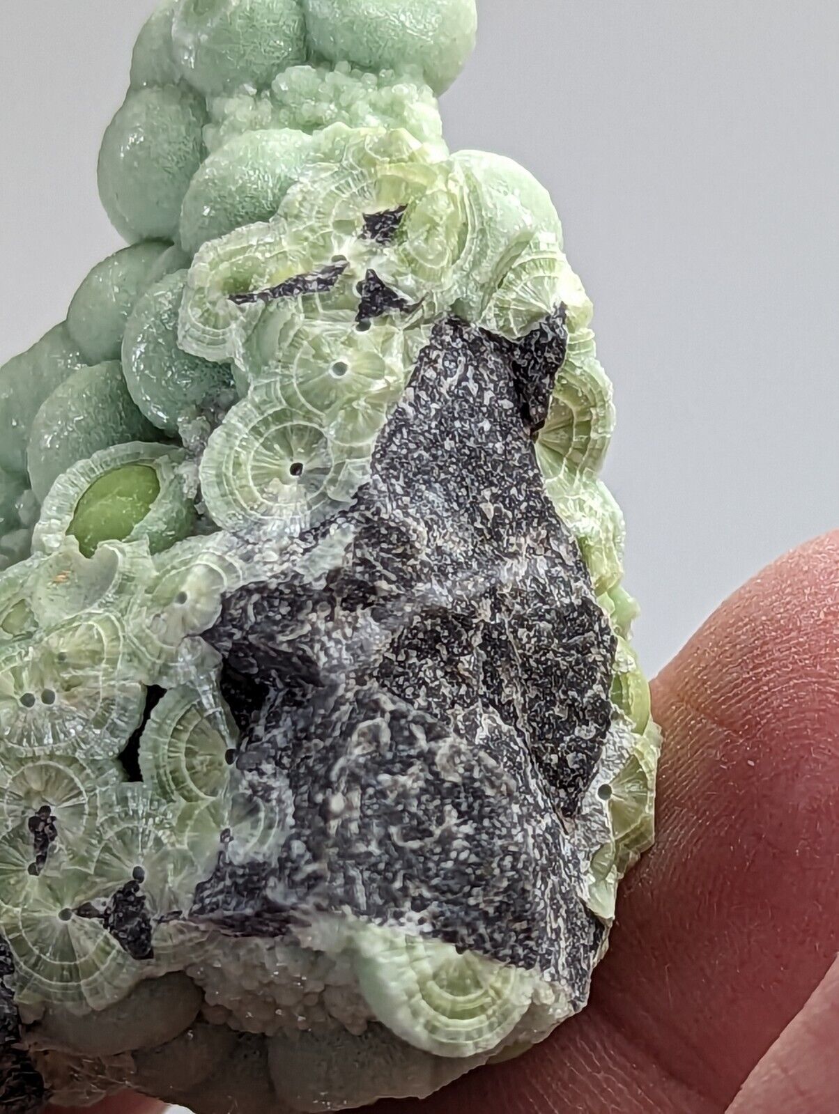 Amazing Wavellite - Fantastic 1990s Old Stock - Mauldin Mountain Arkansas - Collectibles:Rocks Fossils &