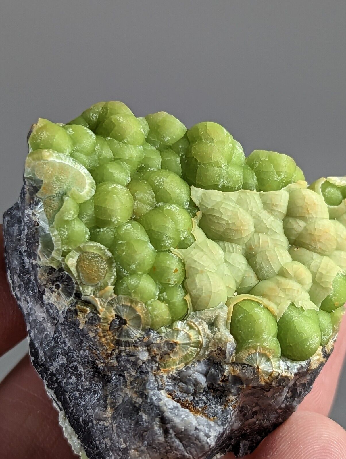 Amazing Wavellite - Fantastic 1990s Old Stock - Mauldin Mountain Arkansas - Collectibles:Rocks Fossils &