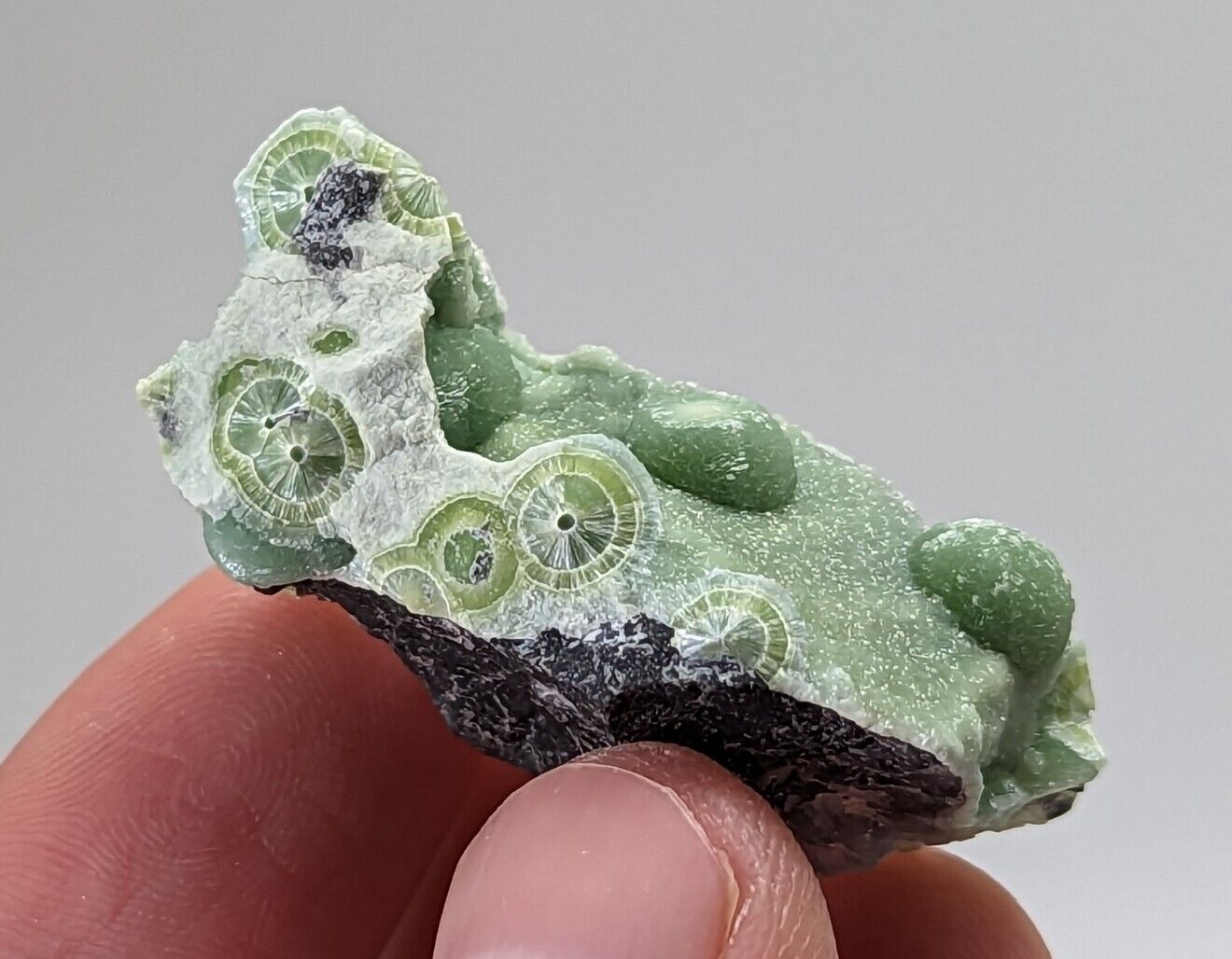 Amazing Wavellite -Fantastic 1990s Old Stock - Mauldin Mountain Arkansas Green - Collectibles:Rocks Fossils &