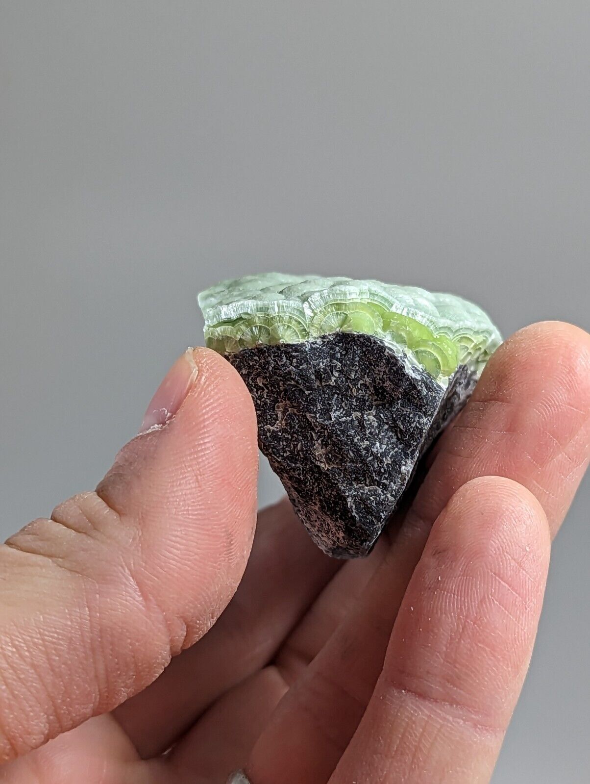 Amazing Wavellite - Fantastic 1990s Old Stock - Mauldin Mountain Arkansas - Collectibles:Rocks Fossils &
