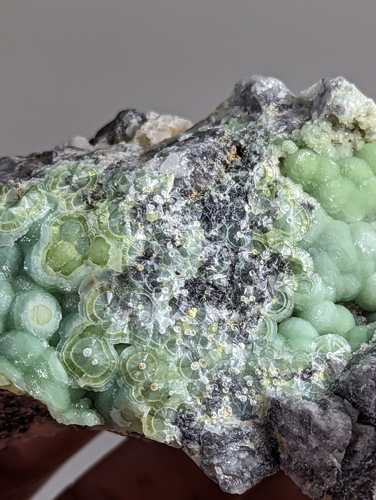 Amazing Wavellite - Fantastic 1990s Old Stock - Mauldin Mountain Arkansas - Collectibles:Rocks Fossils &