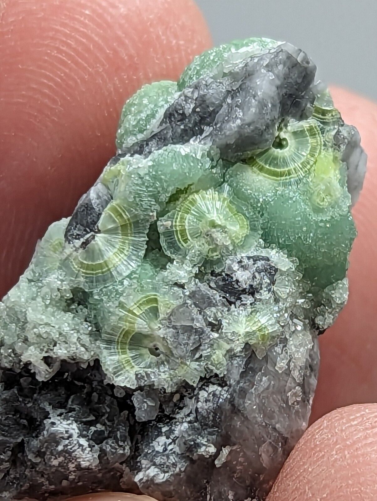 Amazing Wavellite - Fantastic 1990s Old Stock - Mauldin Mountain Arkansas - Collectibles:Rocks Fossils &