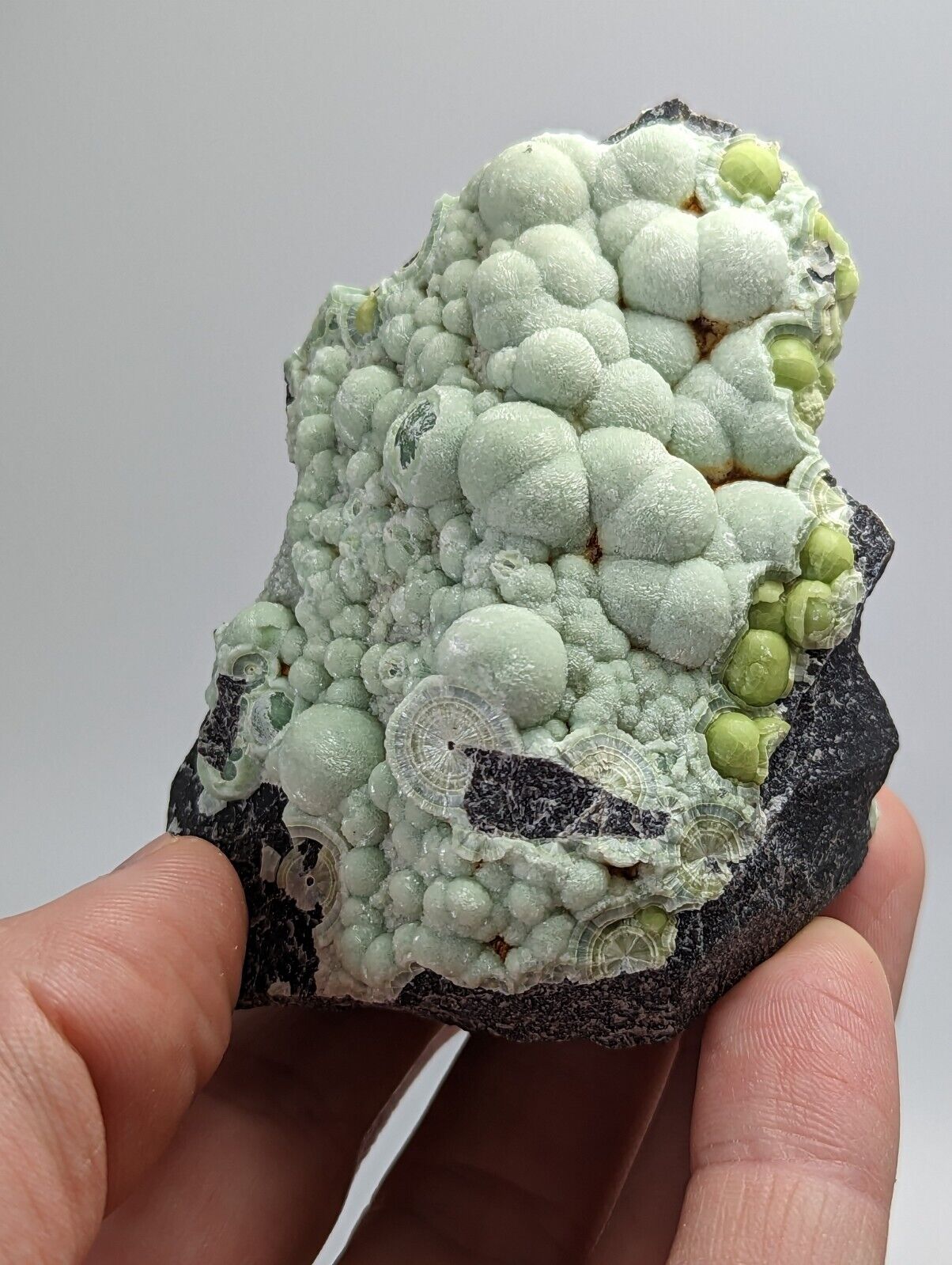Amazing Wavellite - Fantastic 1990s Old Stock - Mauldin Mountain Arkansas Rare - Collectibles:Rocks Fossils &