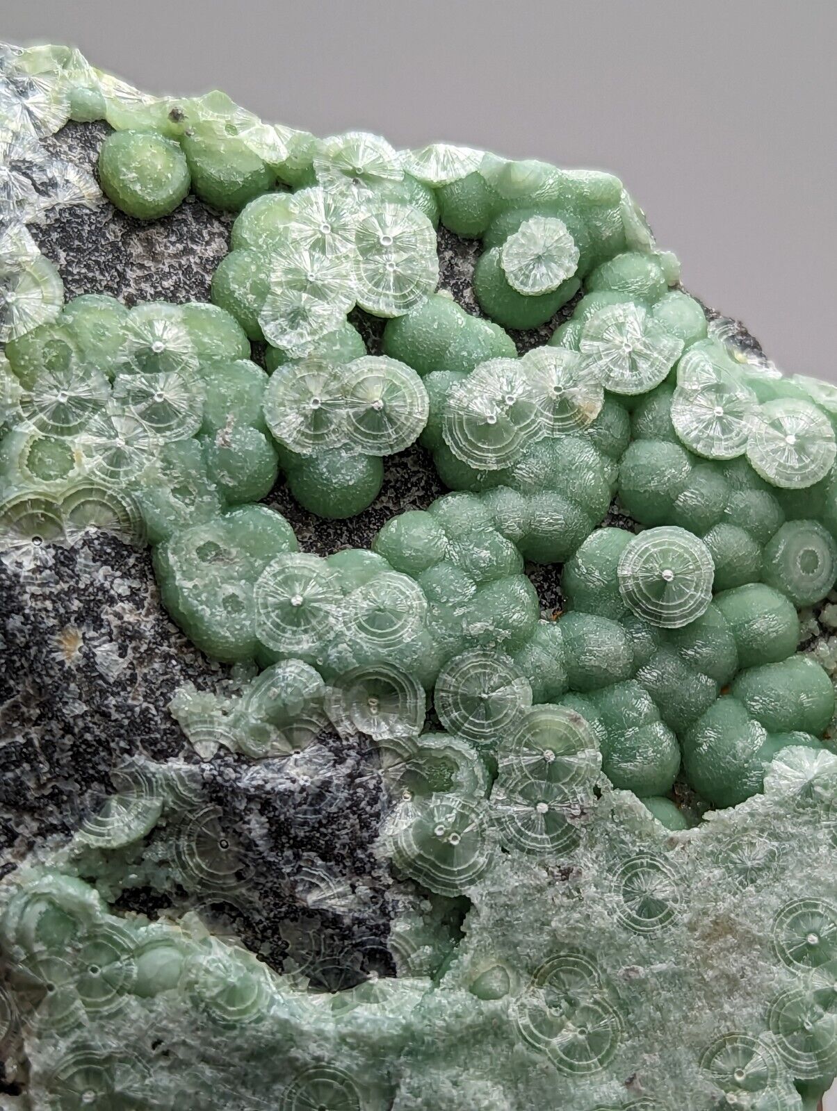 Amazing Wavellite - Fantastic 1990s Old Stock - Mauldin Mountain Arkansas - Collectibles:Rocks Fossils &