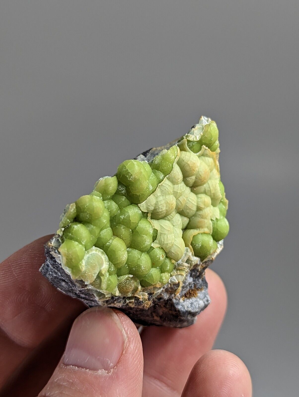 Amazing Wavellite - Fantastic 1990s Old Stock - Mauldin Mountain Arkansas - Collectibles:Rocks Fossils &