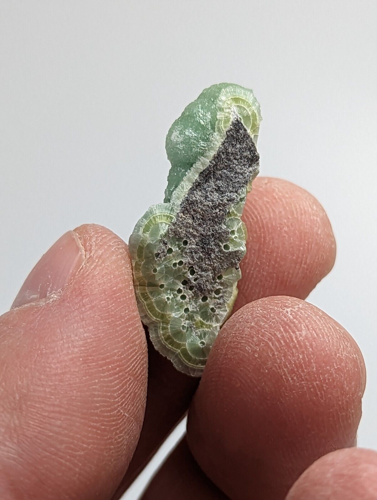 Amazing Wavellite - Fantastic 1990s Old Stock - Mauldin Mountain Arkansas - Collectibles:Rocks Fossils &