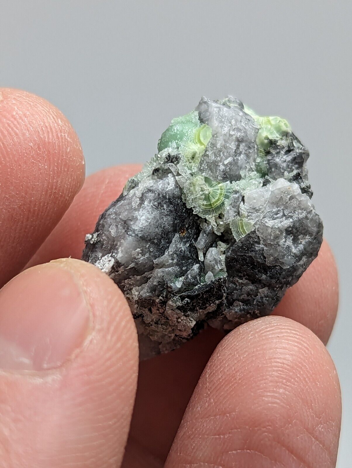 Amazing Wavellite - Fantastic 1990s Old Stock - Mauldin Mountain Arkansas - Collectibles:Rocks Fossils &