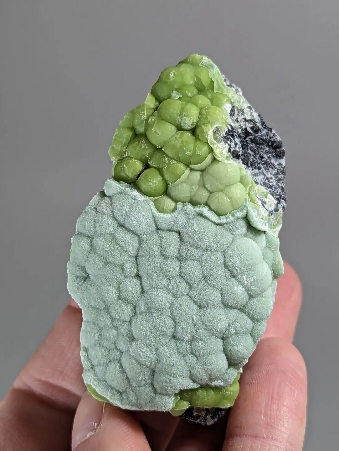 Amazing Wavellite - Fantastic 1990s Old Stock - Mauldin Mountain Arkansas - Collectibles:Rocks Fossils &