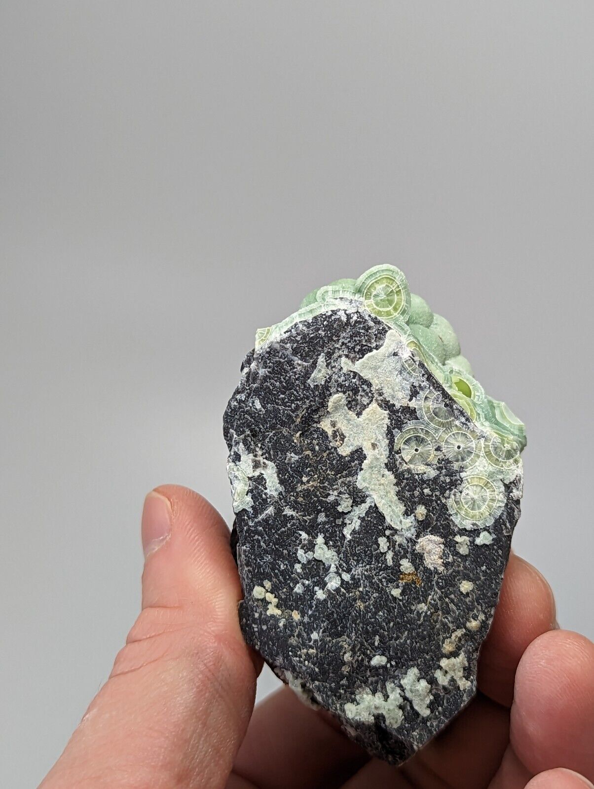 Amazing Wavellite - Fantastic Old Stock - Mauldin Mountain Arkansas - Collectibles:Rocks Fossils & Minerals:Crystals