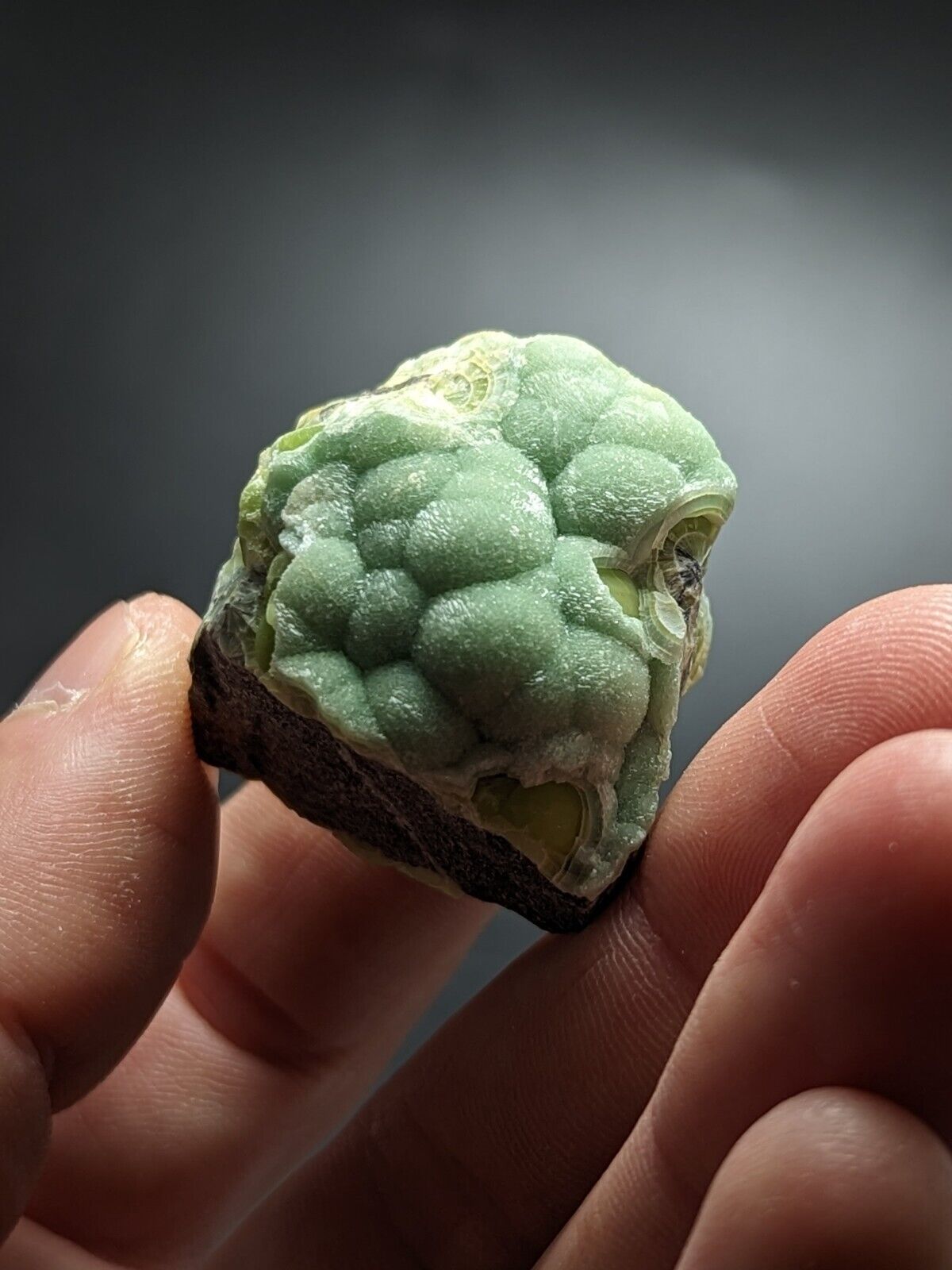 Amazing Wavellite - Fantastic Old Stock - Mauldin Mountain Arkansas ooak - Collectibles:Rocks Fossils &