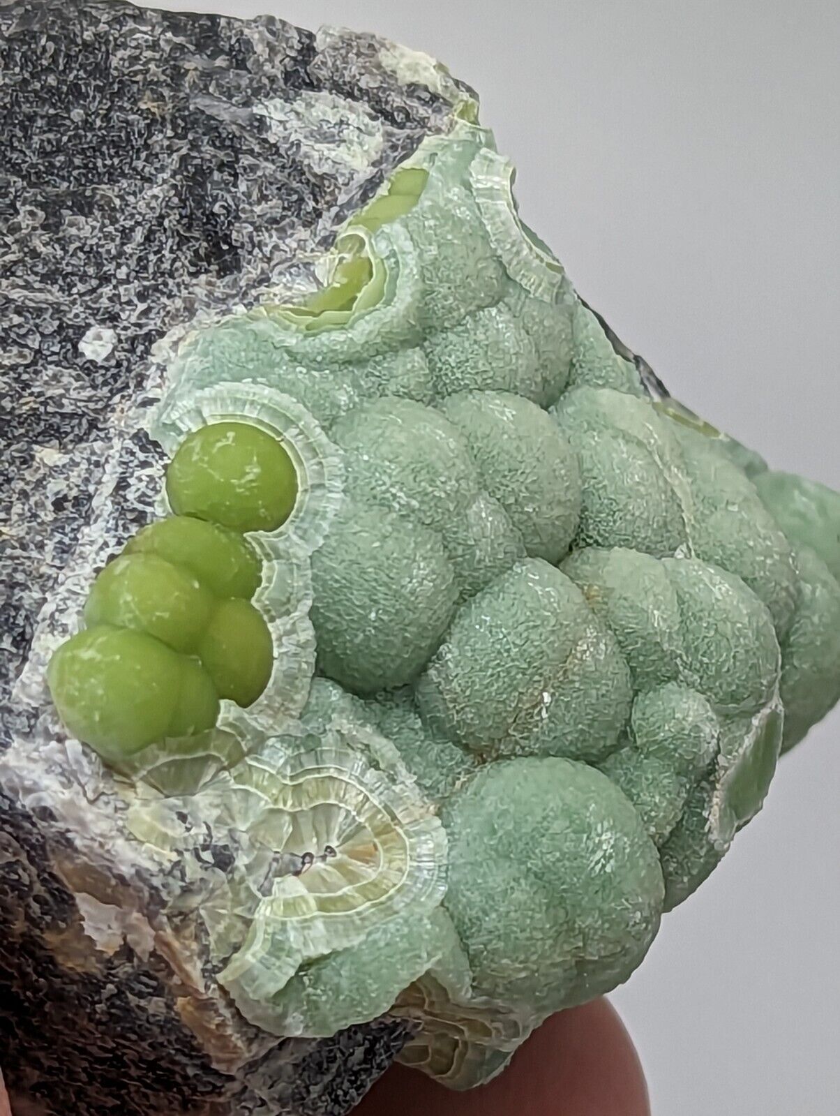 Amazing Wavellite - Fantastic Old Stock - Mauldin Mountain Arkansas - Collectibles:Rocks Fossils & Minerals:Crystals