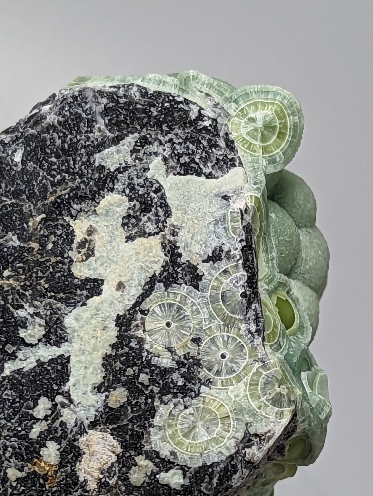 Amazing Wavellite - Fantastic Old Stock - Mauldin Mountain Arkansas - Collectibles:Rocks Fossils & Minerals:Crystals