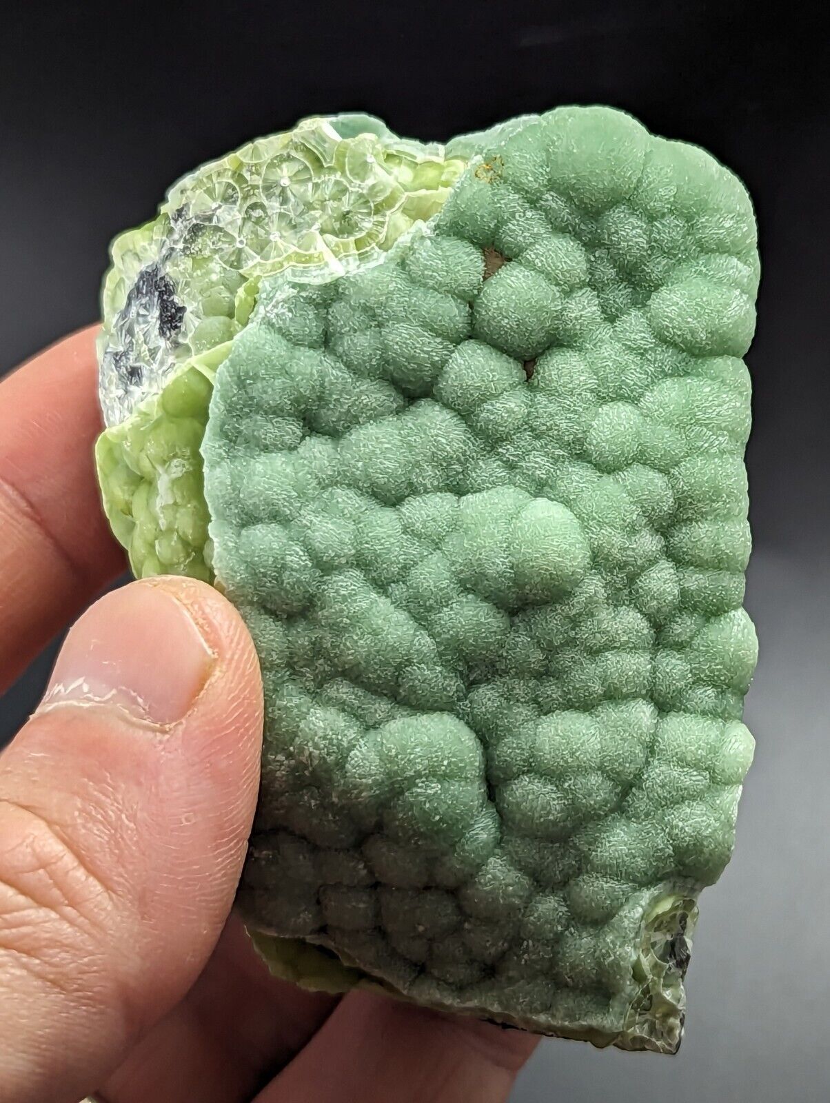 Amazing Wavellite - Fantastic Old Stock - Mauldin Mountain Arkansas A + Rare - Collectibles:Rocks Fossils &