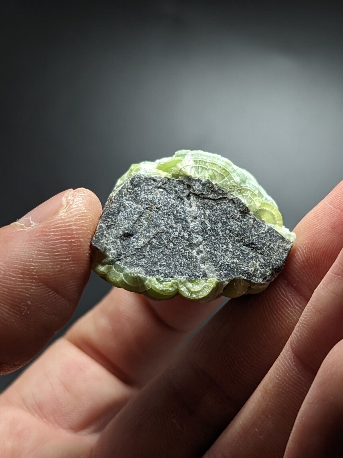 Amazing Wavellite - Fantastic Old Stock - Mauldin Mountain Arkansas ooak - Collectibles:Rocks Fossils &