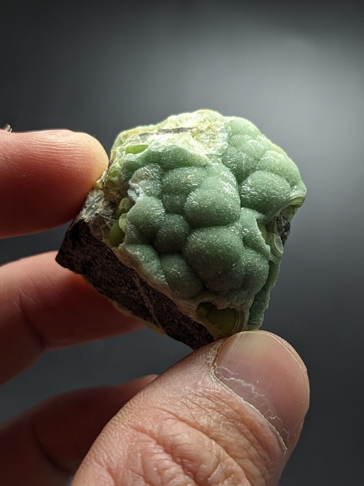 Amazing Wavellite - Fantastic Old Stock - Mauldin Mountain Arkansas ooak - Collectibles:Rocks Fossils &