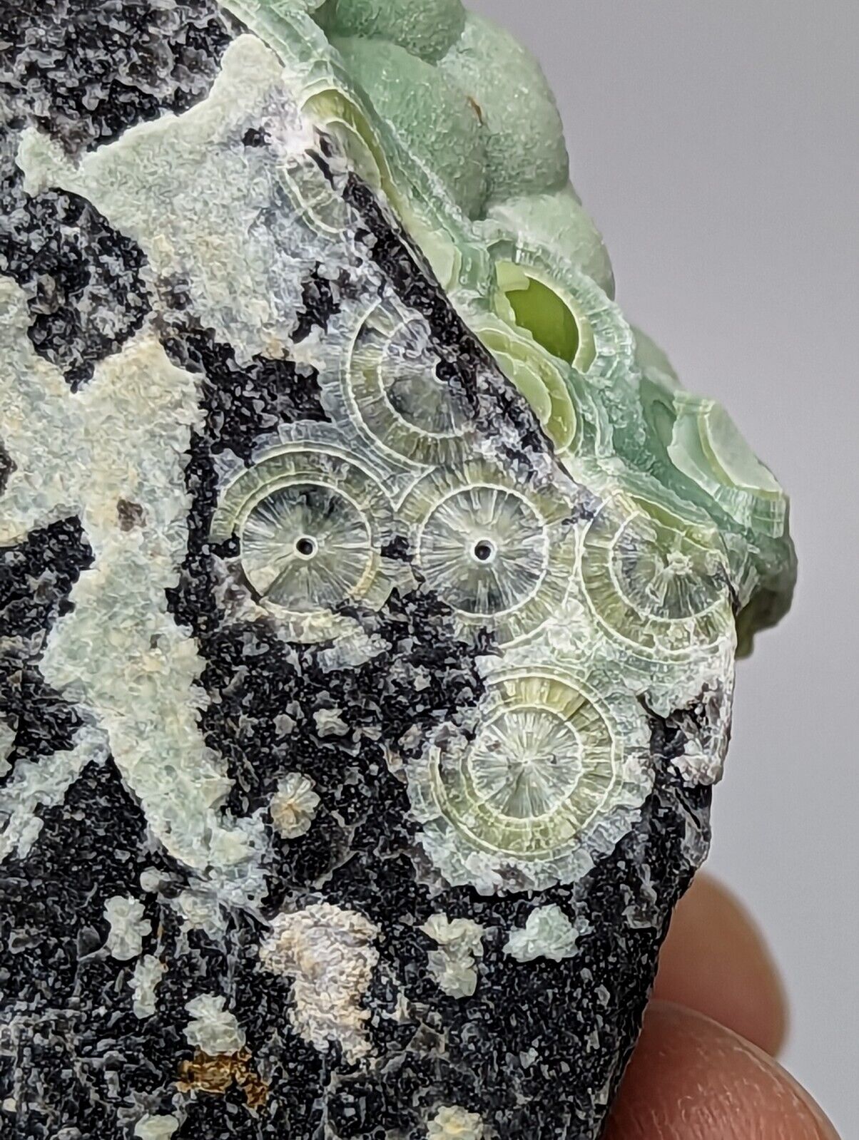Amazing Wavellite - Fantastic Old Stock - Mauldin Mountain Arkansas - Collectibles:Rocks Fossils & Minerals:Crystals