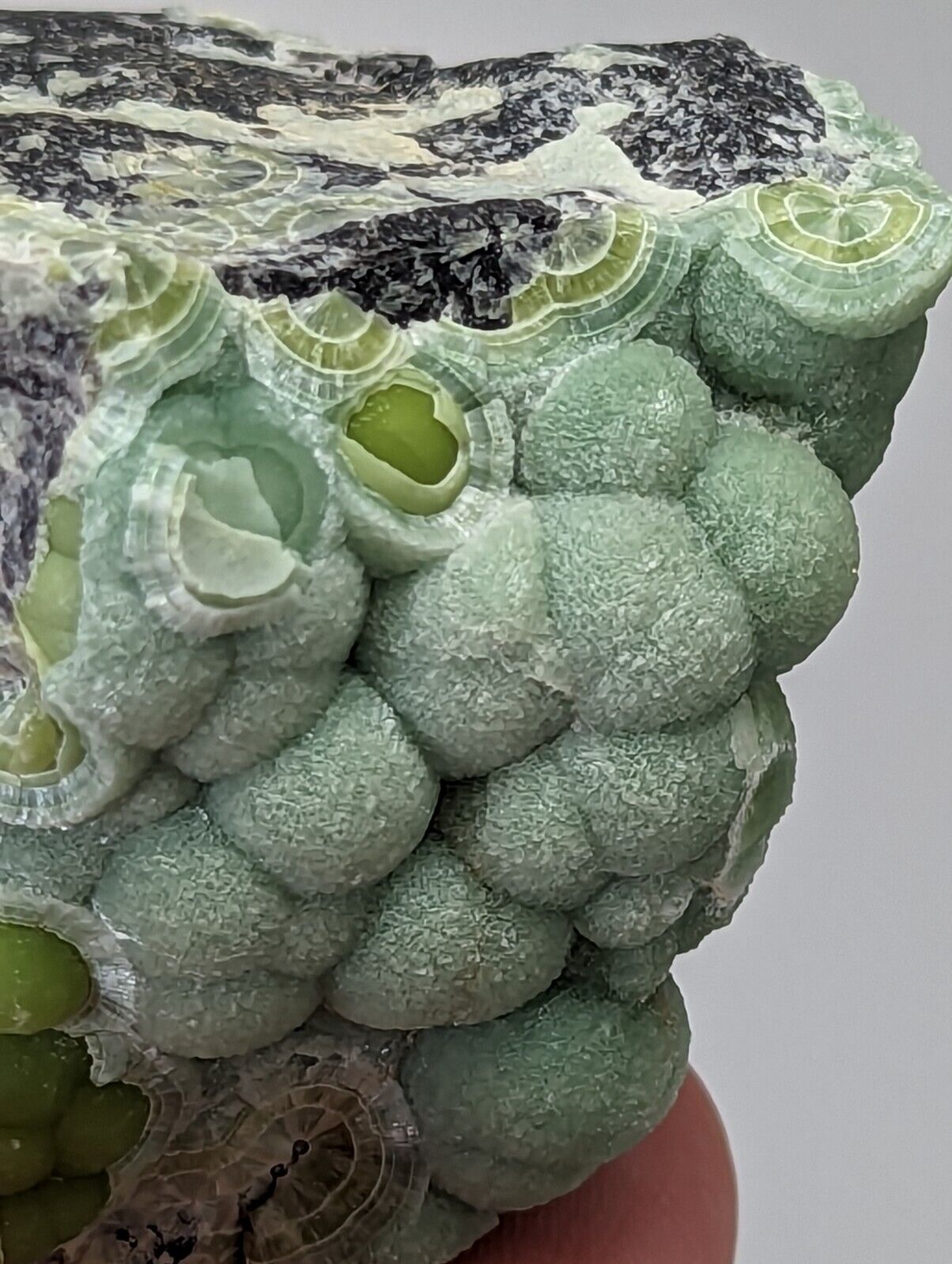 Amazing Wavellite - Fantastic Old Stock - Mauldin Mountain Arkansas - Collectibles:Rocks Fossils & Minerals:Crystals