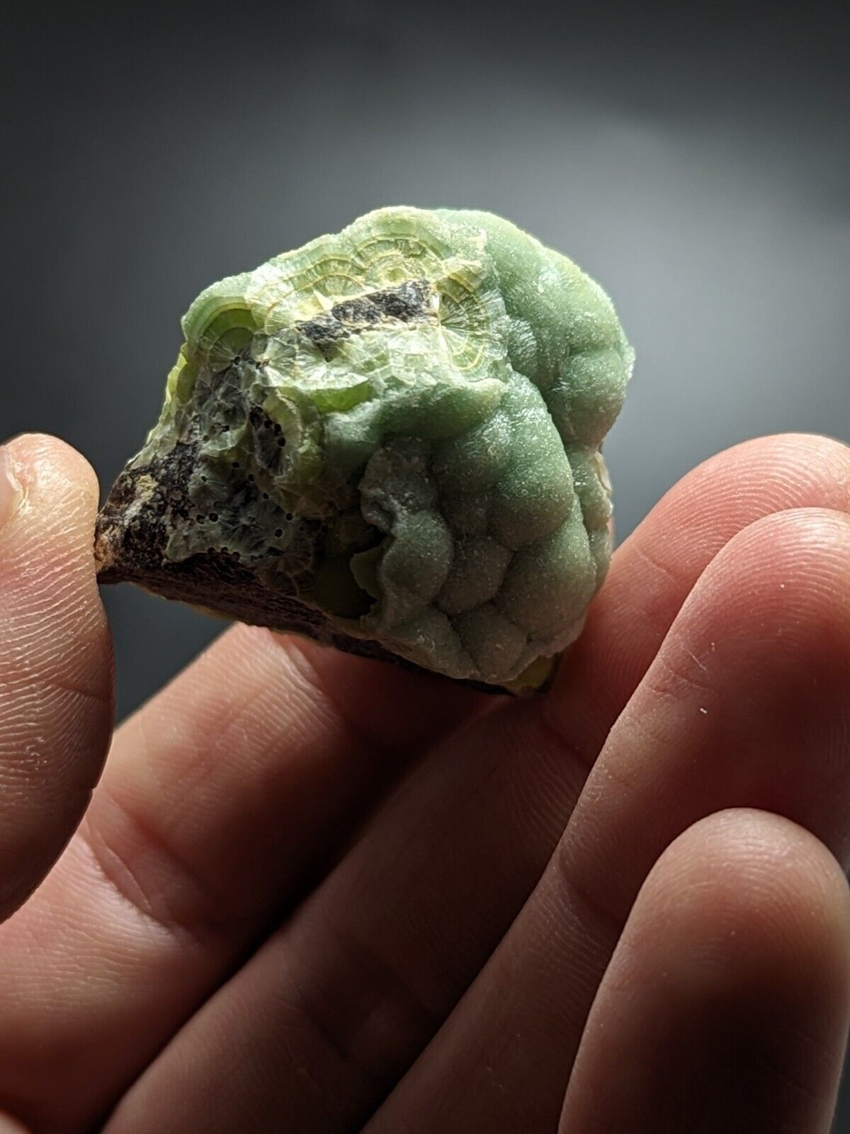 Amazing Wavellite - Fantastic Old Stock - Mauldin Mountain Arkansas ooak - Collectibles:Rocks Fossils &