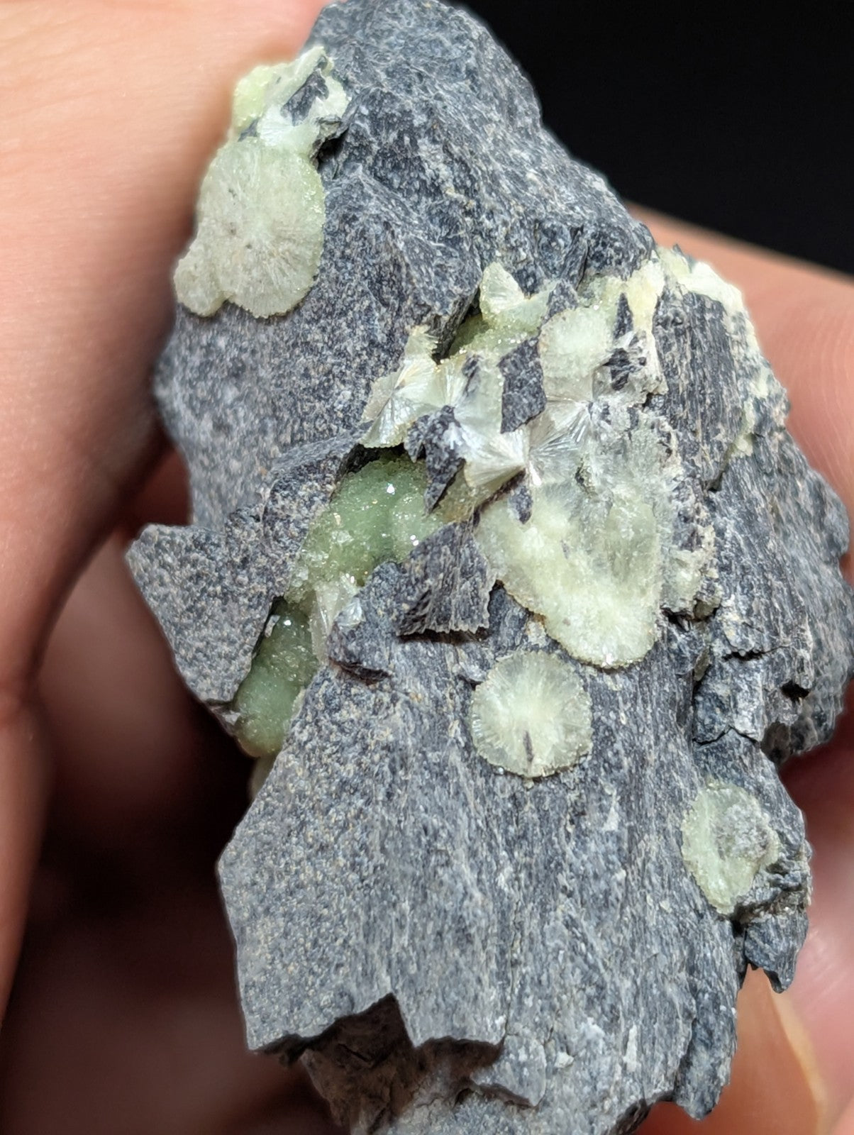 A gray rock specimen featuring embedded greenish translucent crystals with a rough, natural texture.