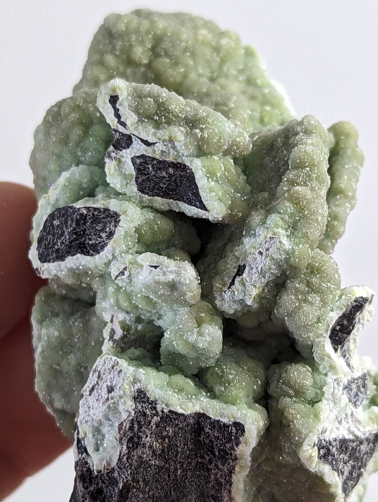 Amazing Wavellite - Old Stock - Mauldin Mountain Arkansas - Collectibles:Rocks Fossils & Minerals:Crystals Mineral