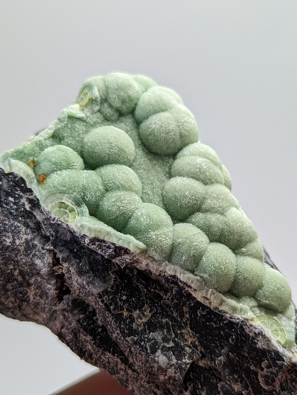 Amazing Wavellite - Old Stock - Mauldin Mountain Montgomery County Arkansas - Collectibles:Rocks Fossils &