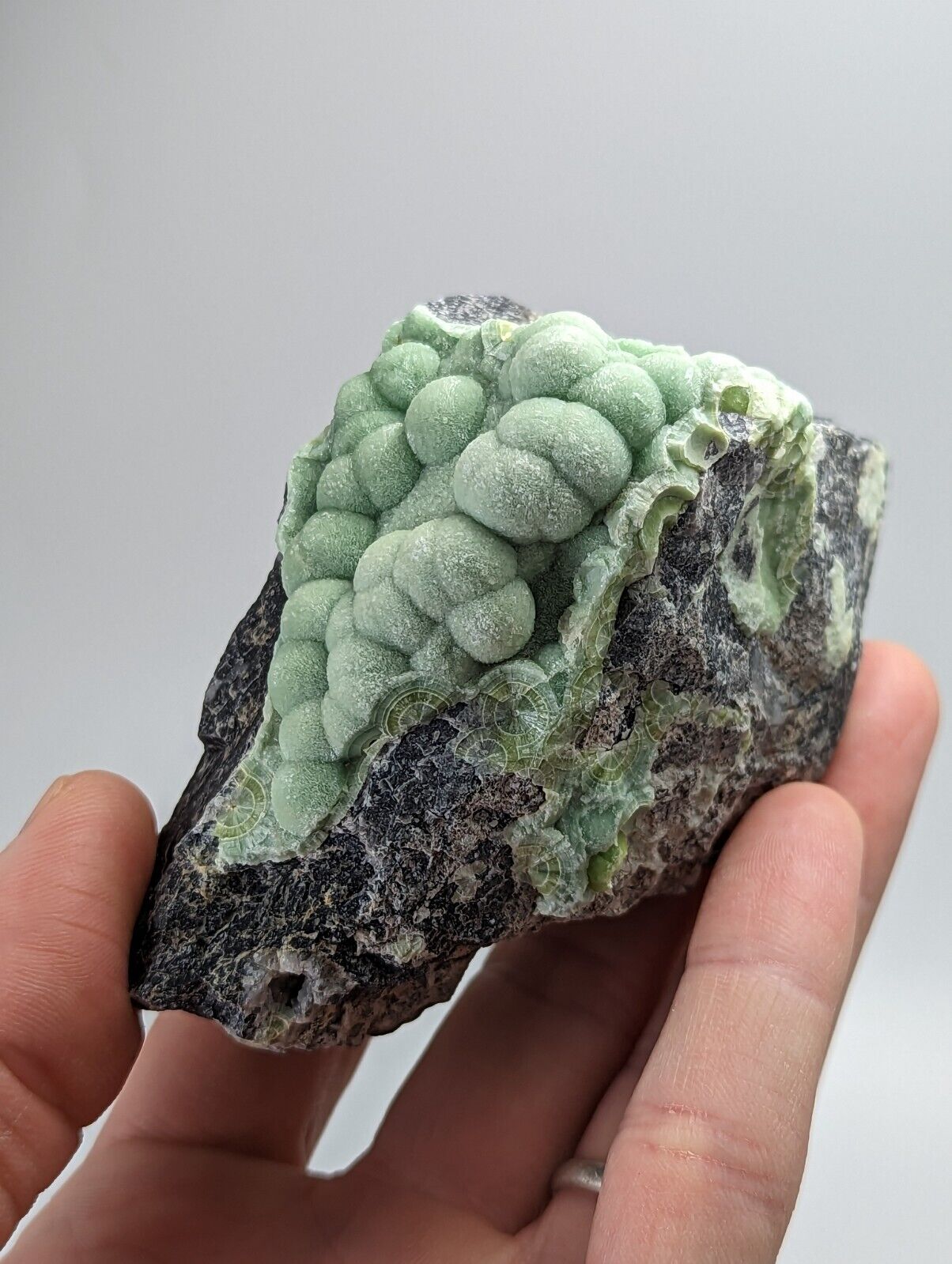 Amazing Wavellite - Old Stock - Mauldin Mountain Montgomery County Arkansas - Collectibles:Rocks Fossils &