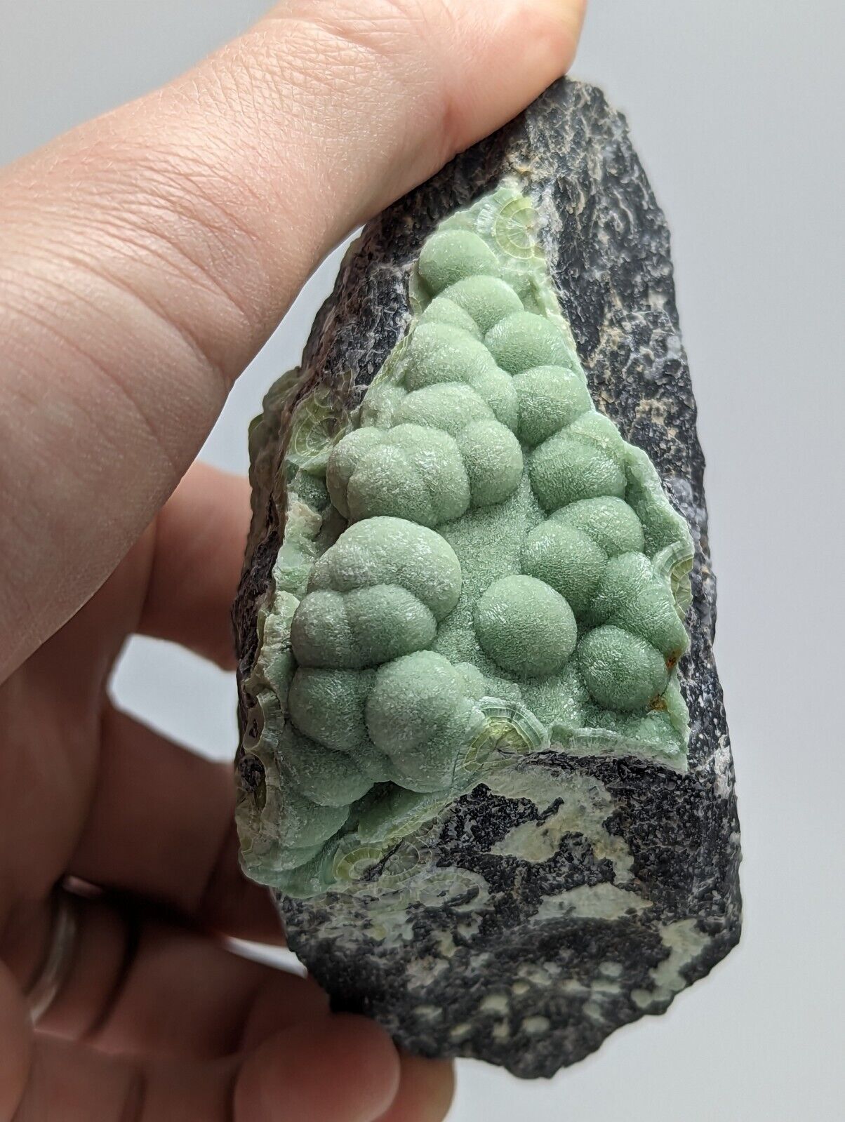 Amazing Wavellite - Old Stock - Mauldin Mountain Montgomery County Arkansas - Collectibles:Rocks Fossils &