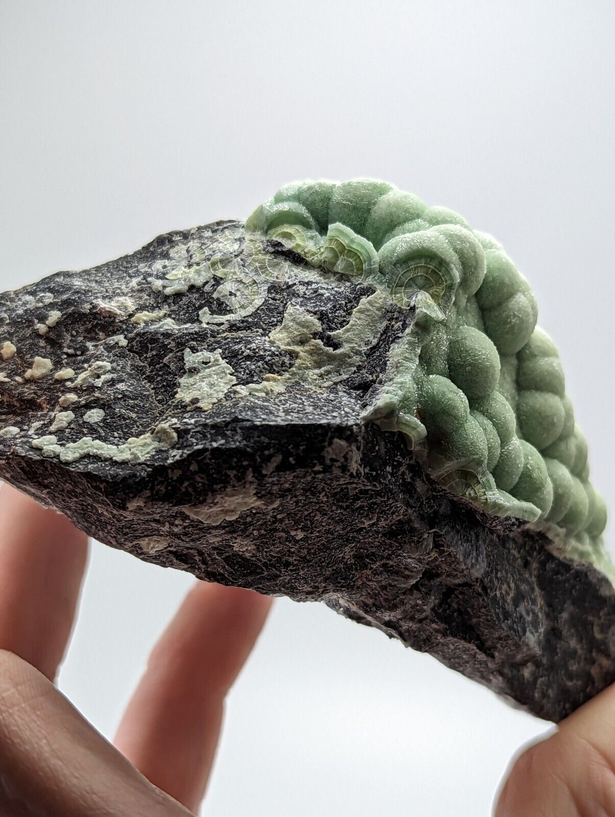 Amazing Wavellite - Old Stock - Mauldin Mountain Montgomery County Arkansas - Collectibles:Rocks Fossils &