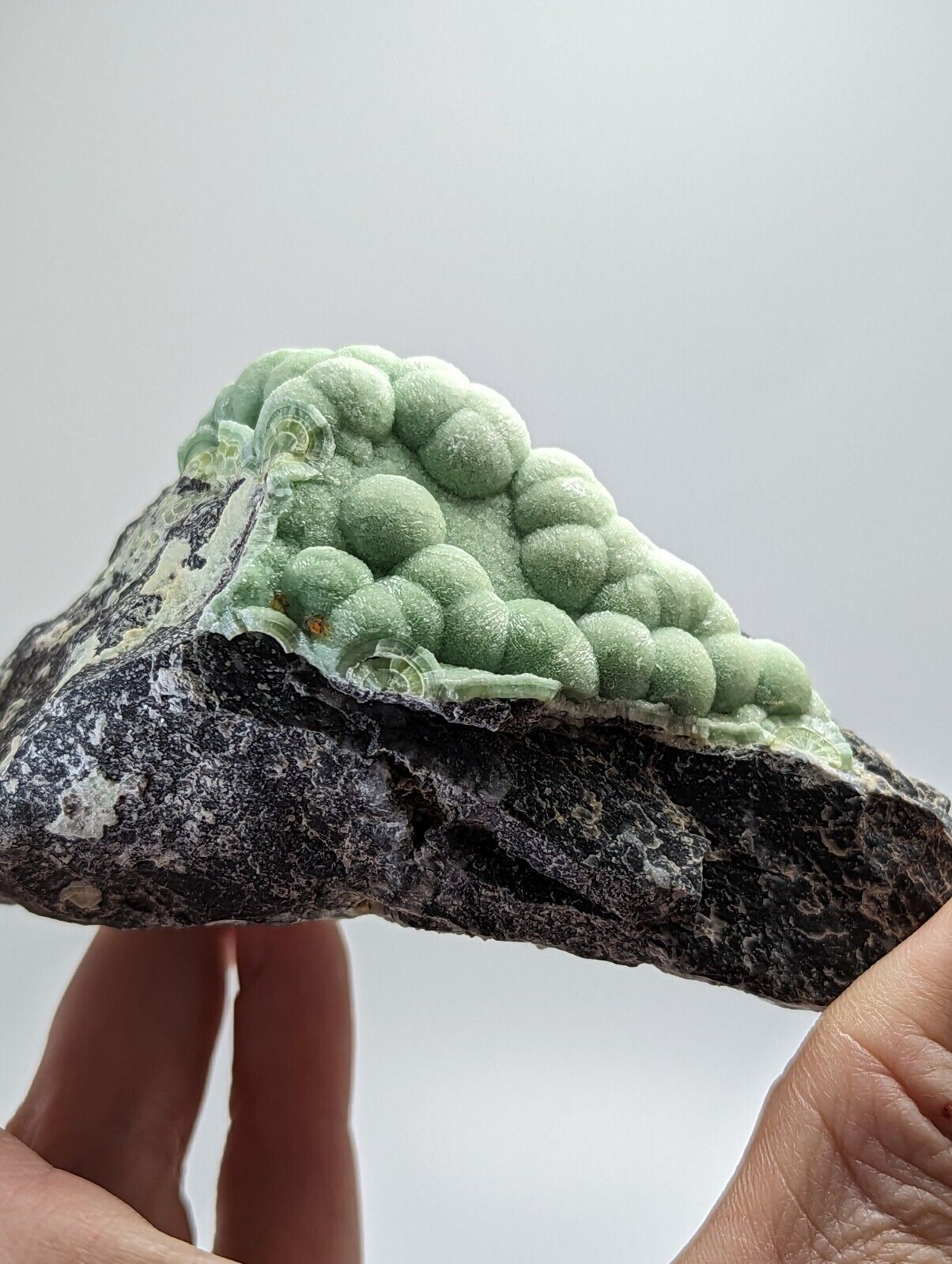 Amazing Wavellite - Old Stock - Mauldin Mountain Montgomery County Arkansas - Collectibles:Rocks Fossils &