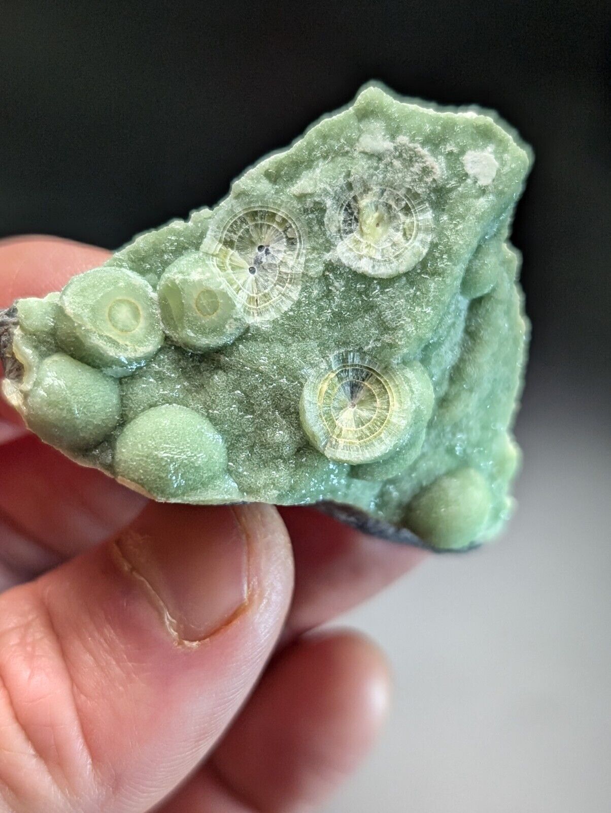 Amazing Wavellite Specimen (Arkansas USA) - OOAK Natural Crystal Cluster - Collectibles:Rocks Fossils &