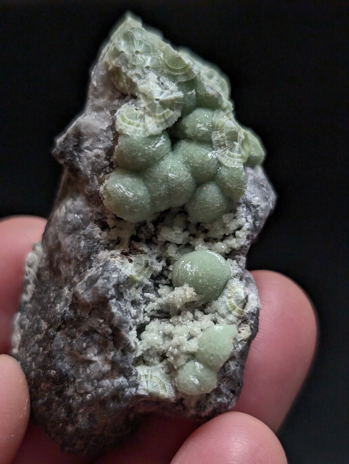 Amazing Wavellite Specimen (Arkansas USA) - OOAK Natural Crystal Cluster - Collectibles:Rocks Fossils &