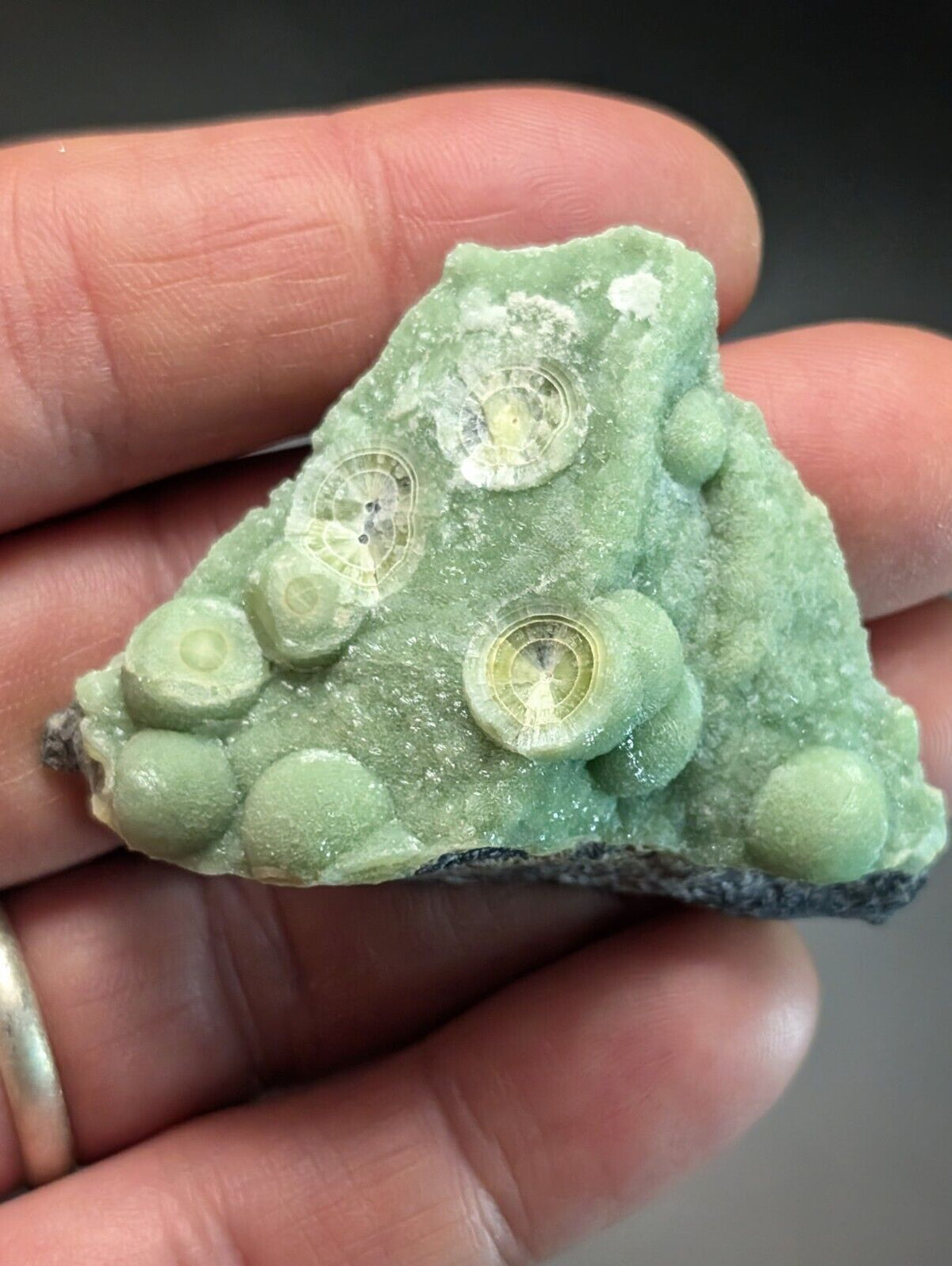 Amazing Wavellite Specimen (Arkansas USA) - OOAK Natural Crystal Cluster - Collectibles:Rocks Fossils &