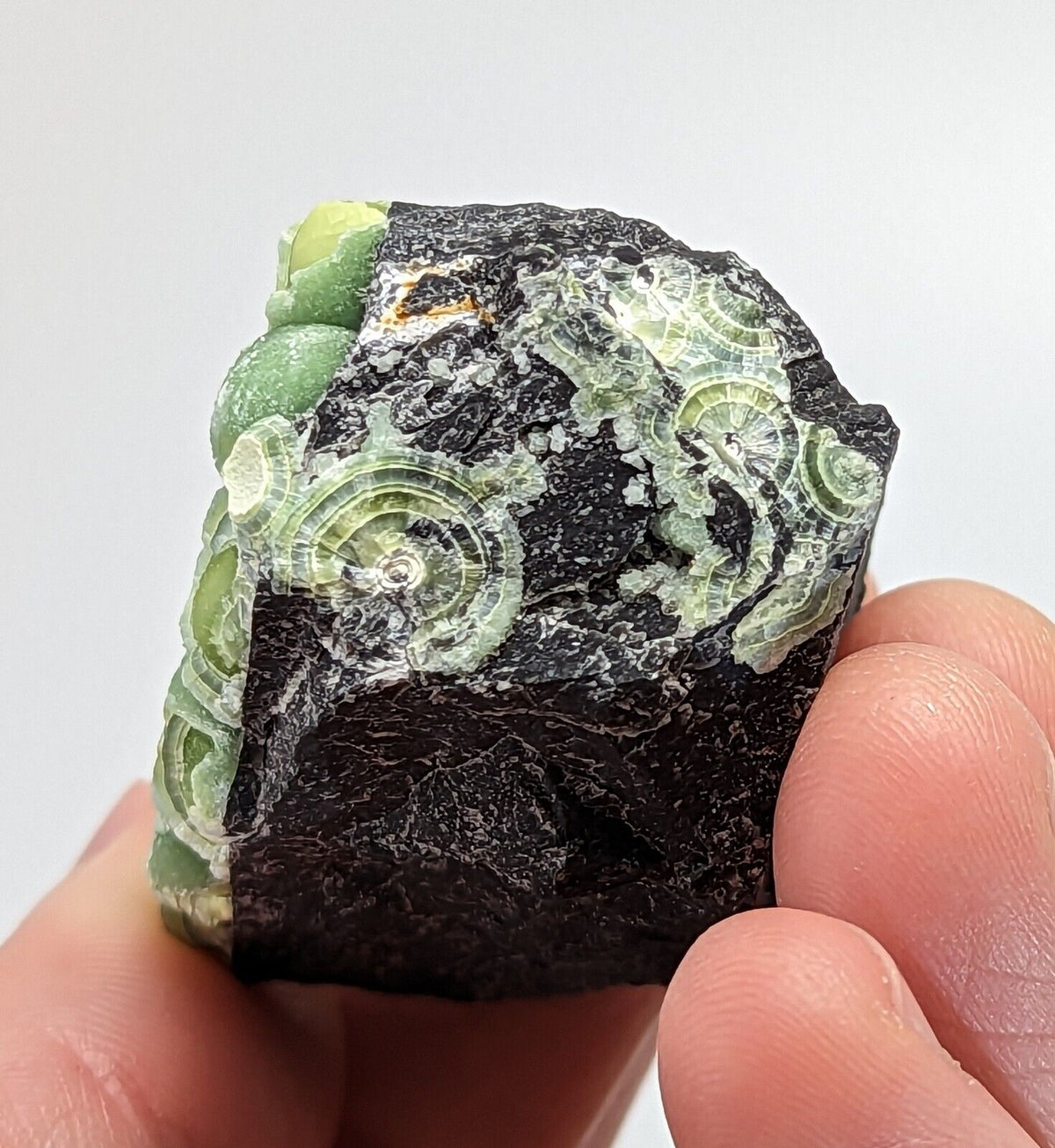 Amazing Wavellite Specimen - Rare 1990s Old Stock - Mauldin Mountain Arkansas - Collectibles:Rocks Fossils &