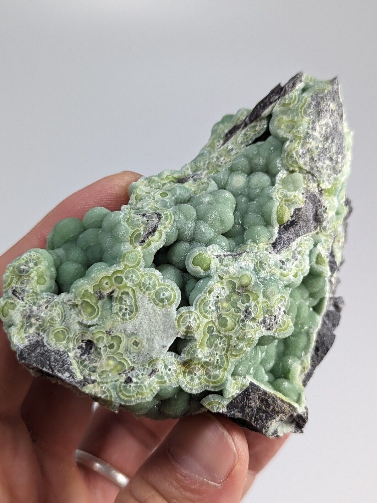 Awesome Green Wavellite - Fantastic Old Stock - Mauldin Mountain Arkansas ooak - Collectibles:Rocks Fossils &