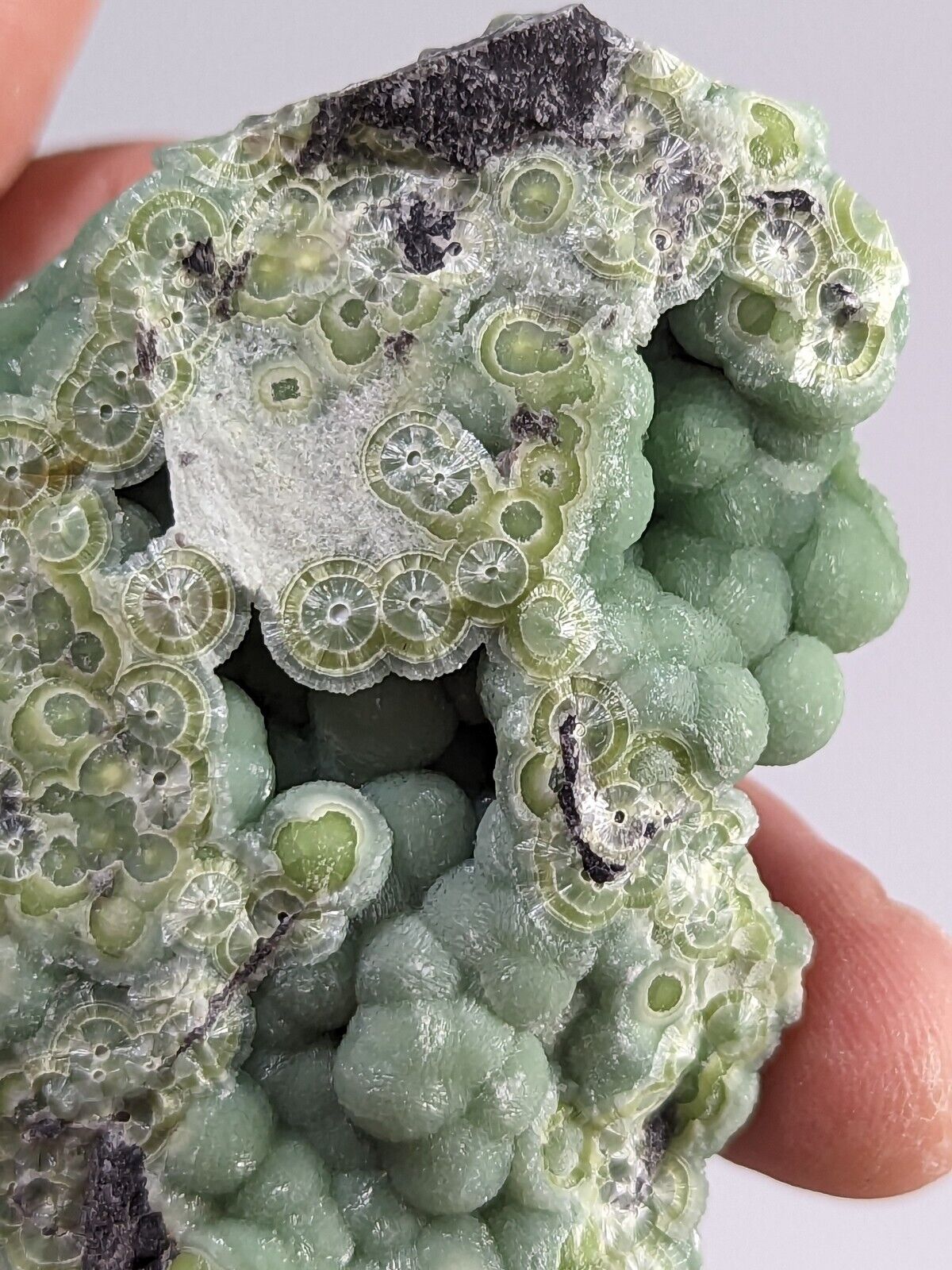 Awesome Green Wavellite - Fantastic Old Stock - Mauldin Mountain Arkansas ooak - Collectibles:Rocks Fossils &