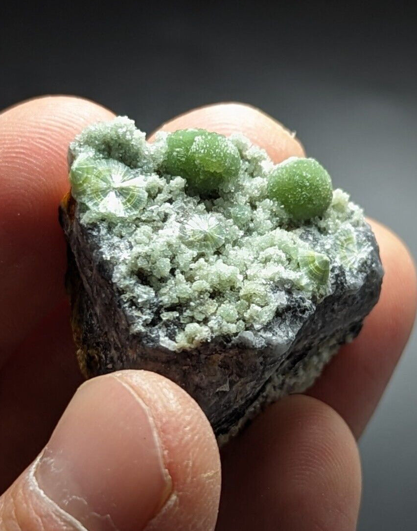 Beautiful Wavellite - Fantastic Old Stock - Mauldin Mountain Arkansas ooak - Collectibles:Rocks Fossils &
