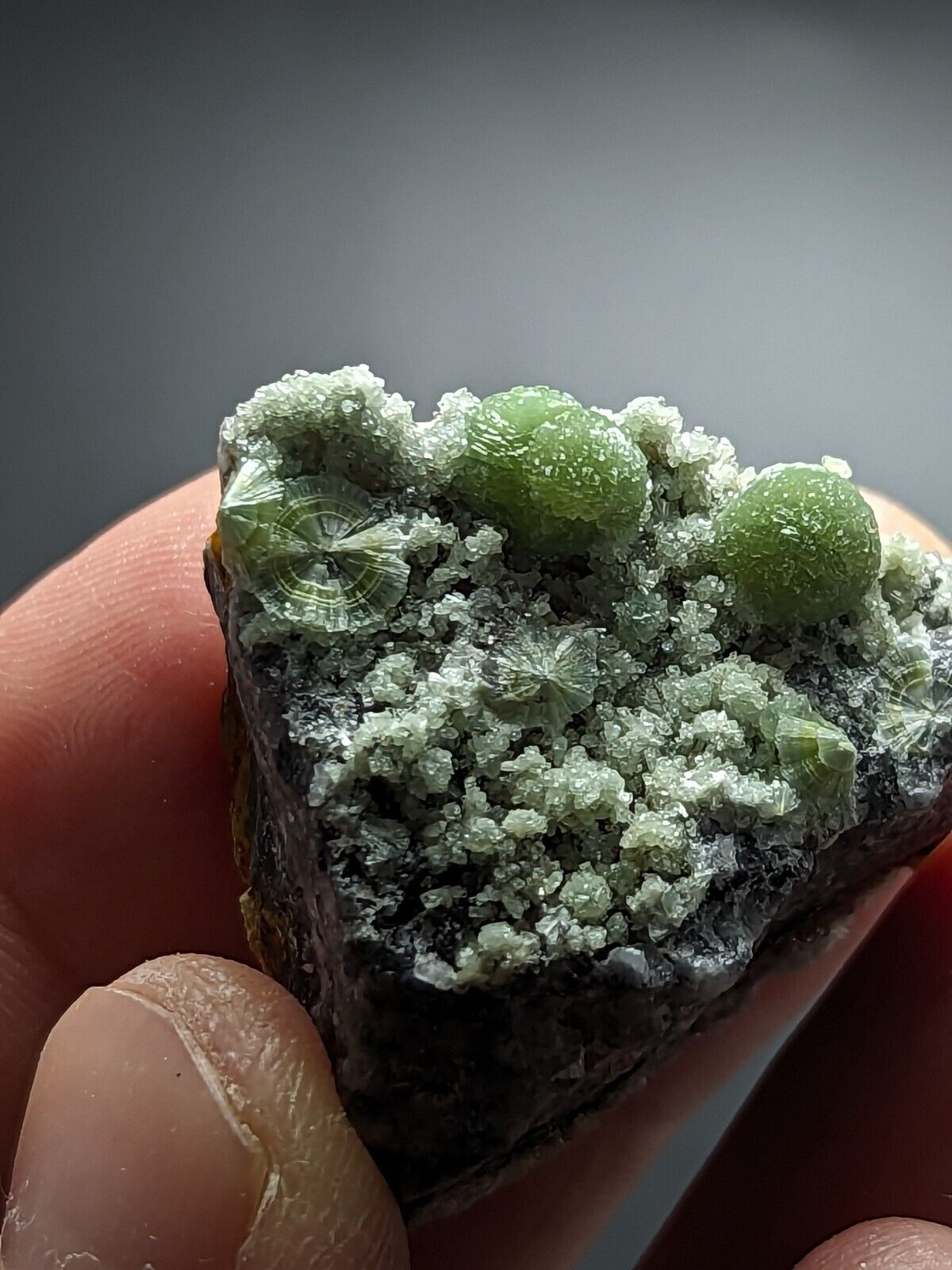 Beautiful Wavellite - Fantastic Old Stock - Mauldin Mountain Arkansas ooak - Collectibles:Rocks Fossils &