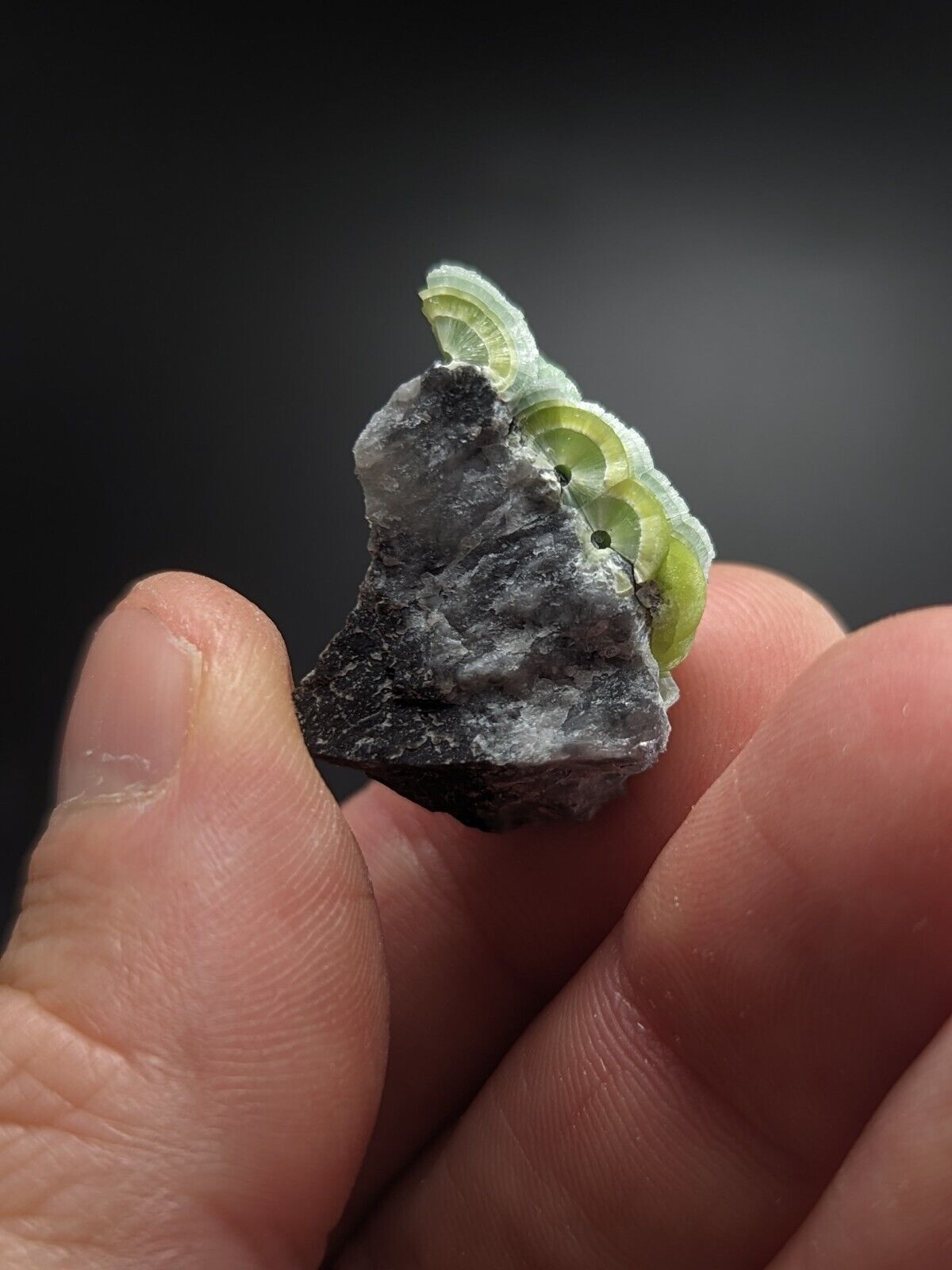 Beautiful Wavellite - Fantastic Old Stock - Mauldin Mountain Arkansas ooak - Collectibles:Rocks Fossils &