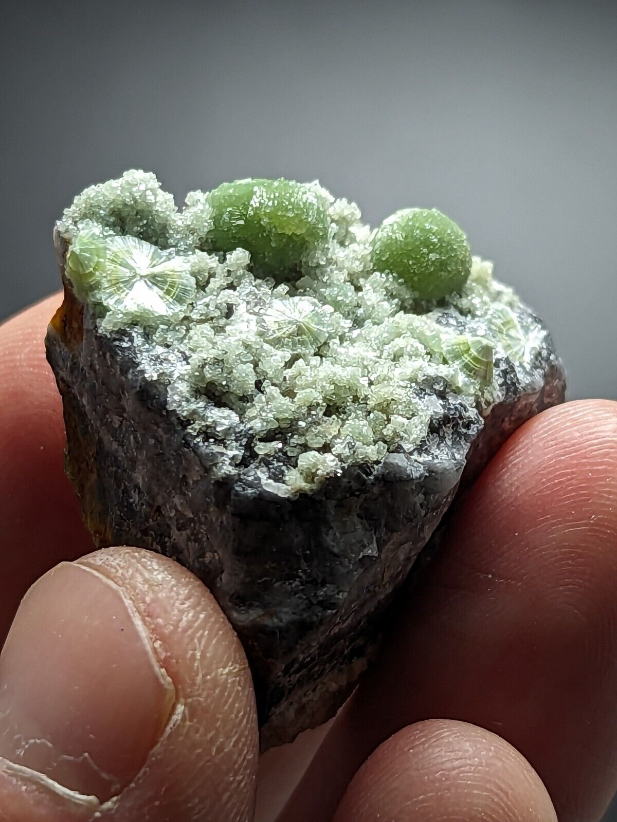 Beautiful Wavellite - Fantastic Old Stock - Mauldin Mountain Arkansas ooak - Collectibles:Rocks Fossils &