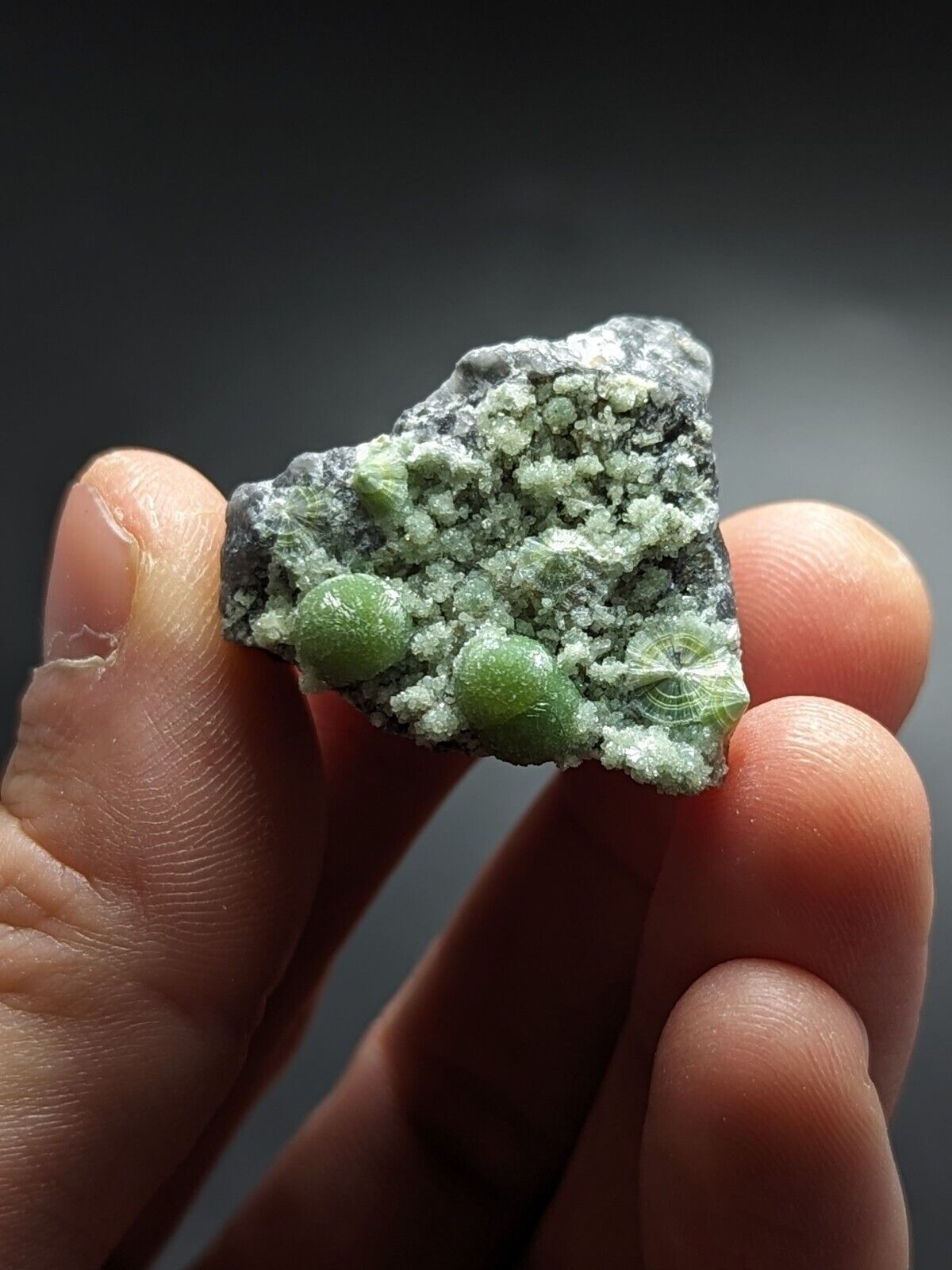 Beautiful Wavellite - Fantastic Old Stock - Mauldin Mountain Arkansas ooak - Collectibles:Rocks Fossils &