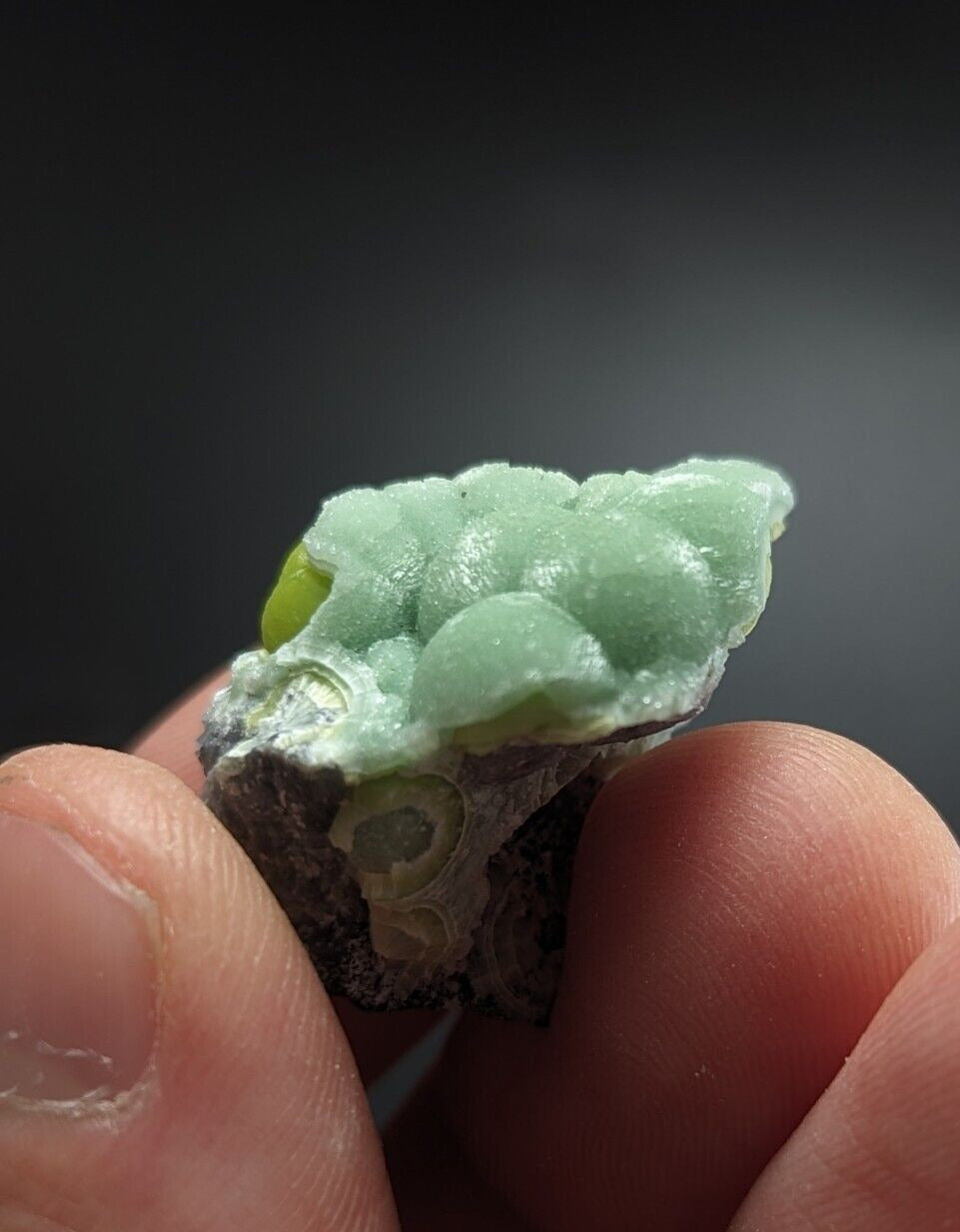 Beautiful Wavellite - Fantastic Old Stock - Mauldin Mountain Arkansas ooak - Collectibles:Rocks Fossils &