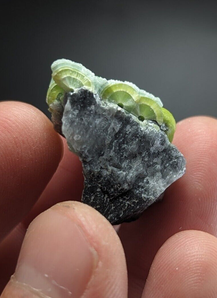 Beautiful Wavellite - Fantastic Old Stock - Mauldin Mountain Arkansas ooak - Collectibles:Rocks Fossils &