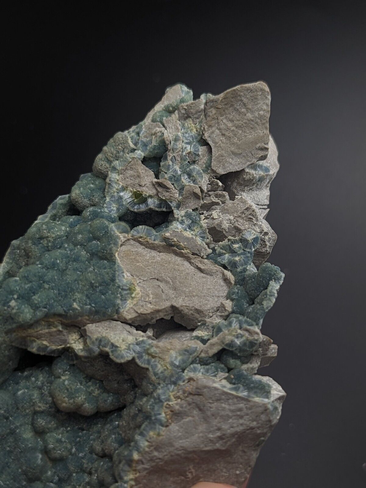 Blue-Green Wavellite - Delinde / Schmitt mine - Garland County Arkansas - Collectibles:Rocks Fossils &