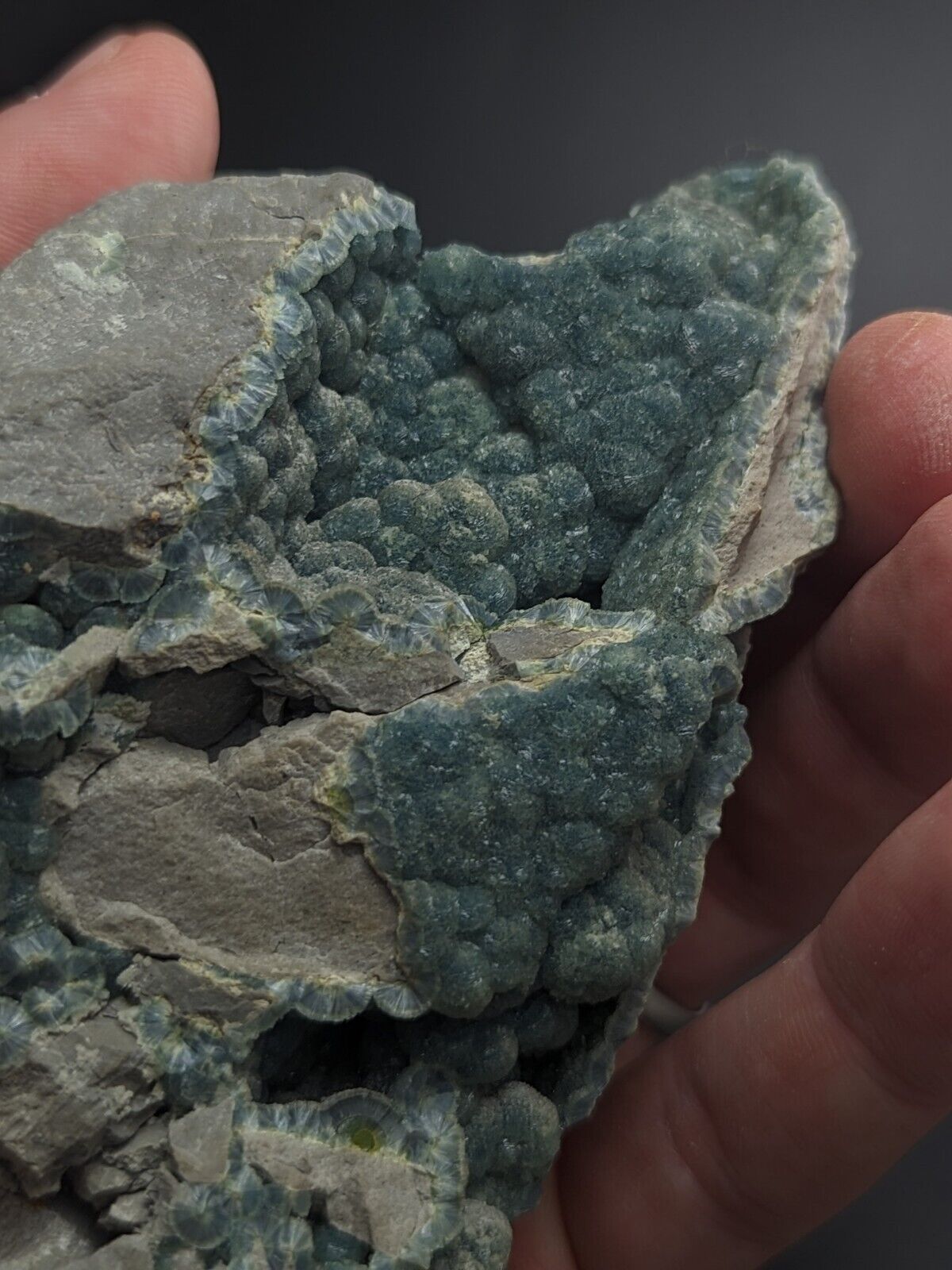 Blue-Green Wavellite - Delinde / Schmitt mine - Garland County Arkansas - Collectibles:Rocks Fossils &